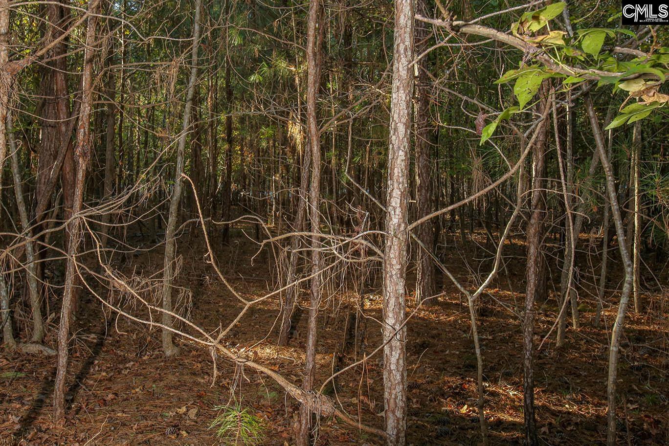 000 Hamms Landing Road, Prosperity, South Carolina image 7