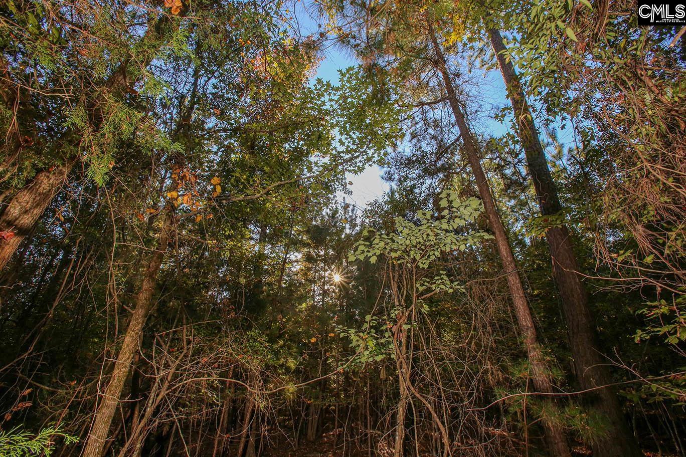 000 Hamms Landing Road, Prosperity, South Carolina image 8