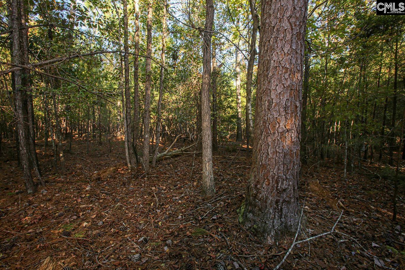 000 Hamms Landing Road, Prosperity, South Carolina image 10