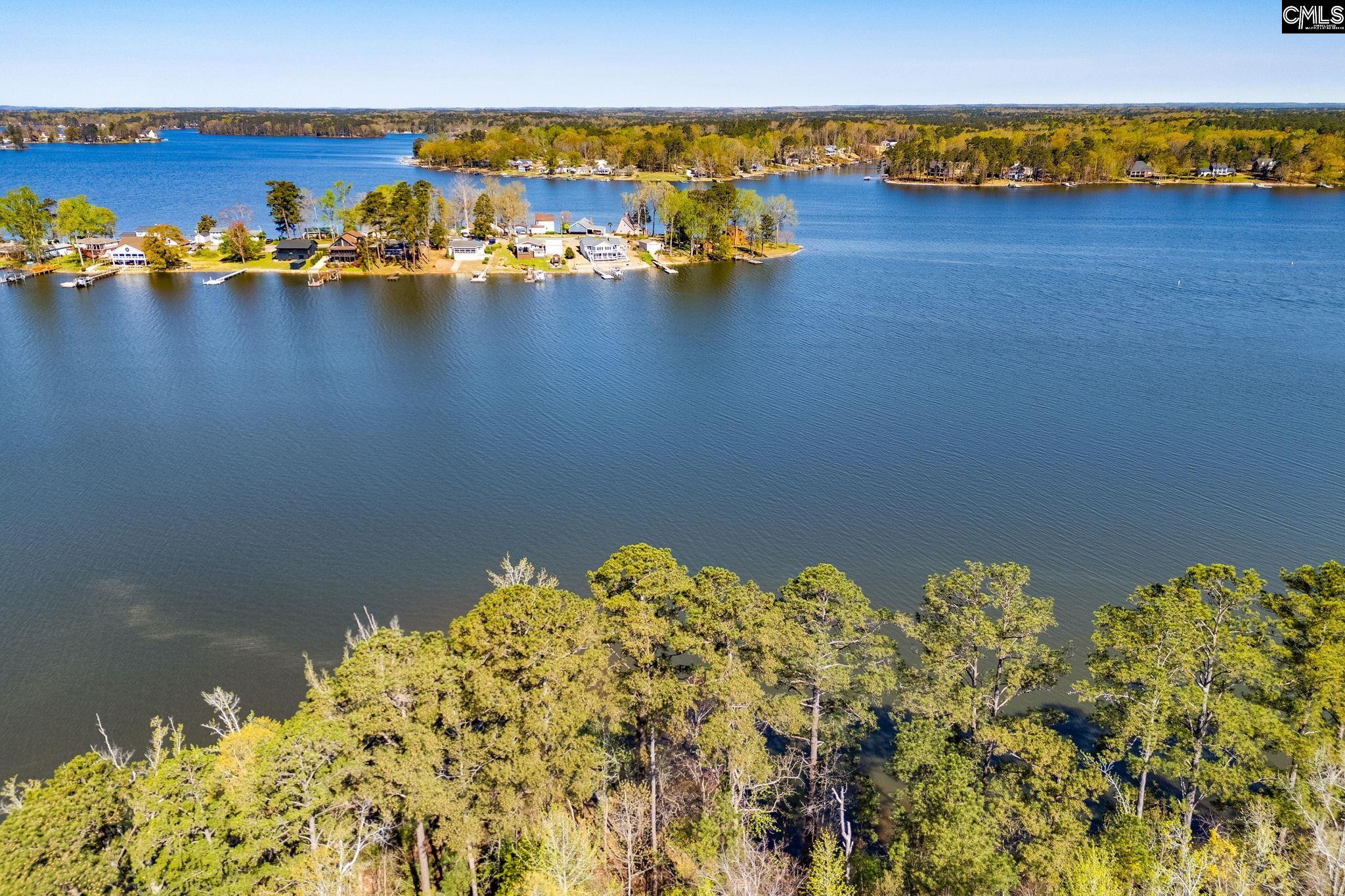3941 Holley Ferry Road, Leesville, South Carolina image 6