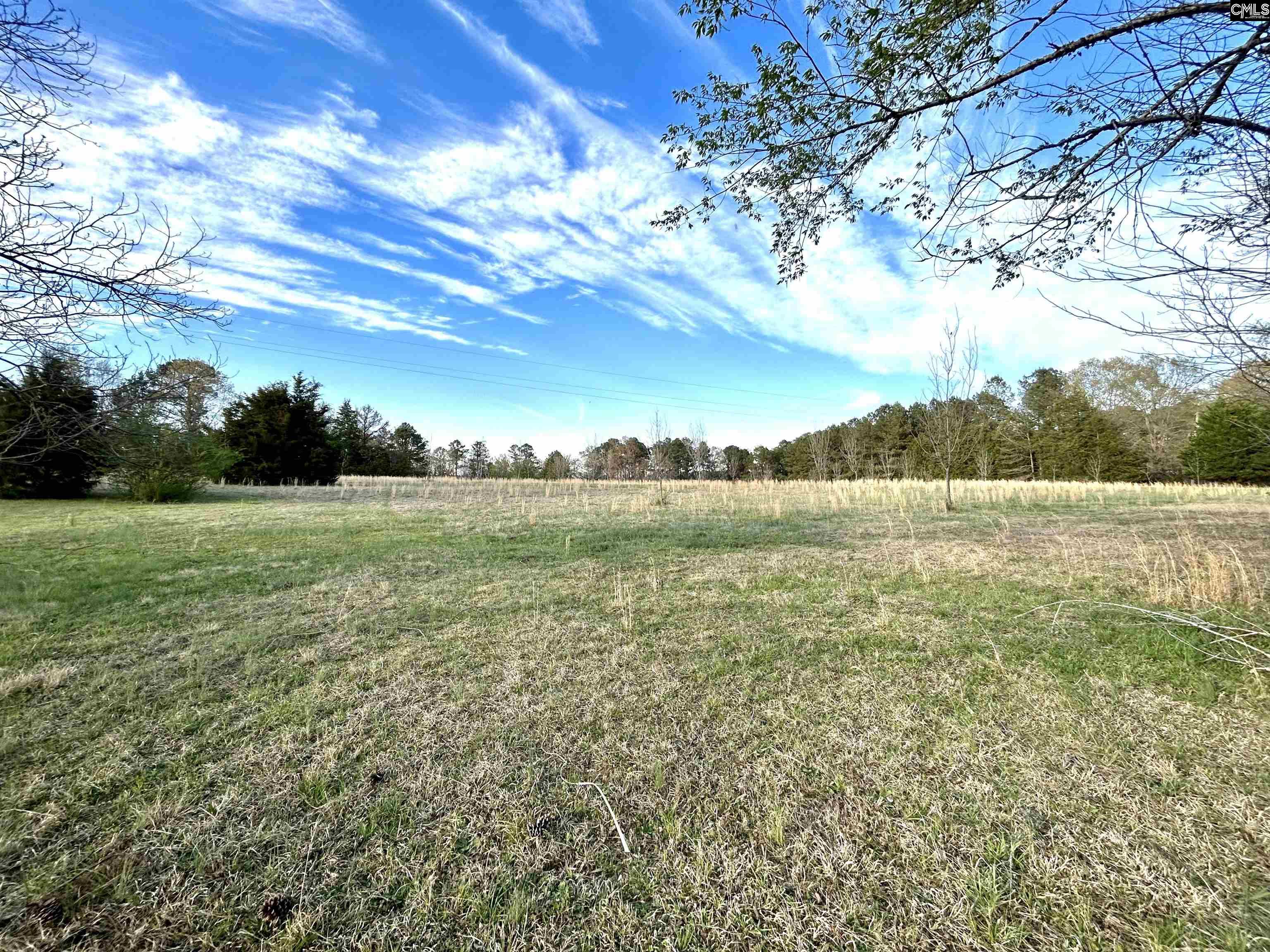 1621 Hughey Ferry Road, Pomaria, South Carolina image 1