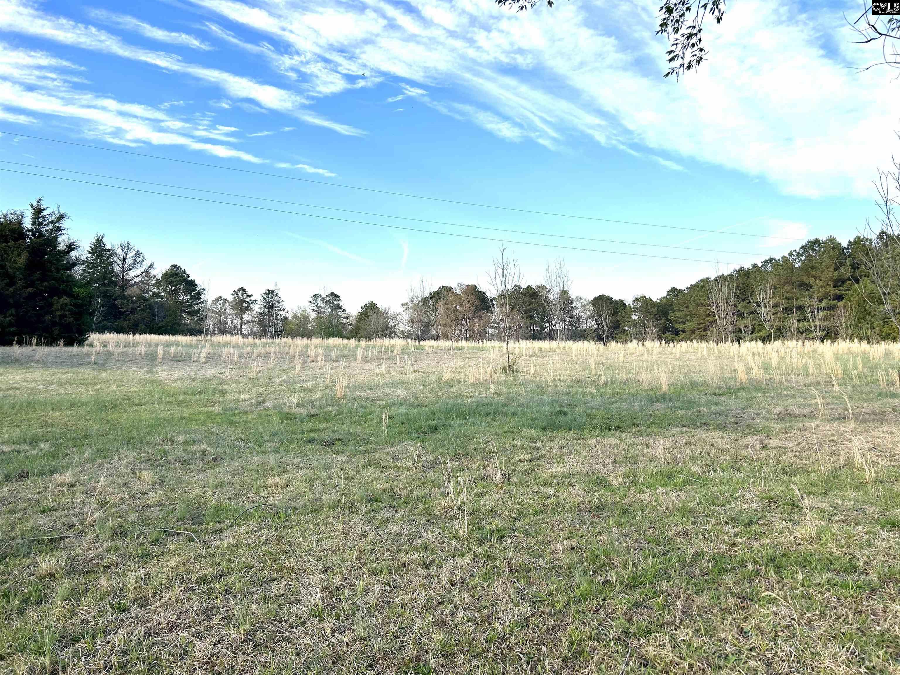 1621 Hughey Ferry Road, Pomaria, South Carolina image 2
