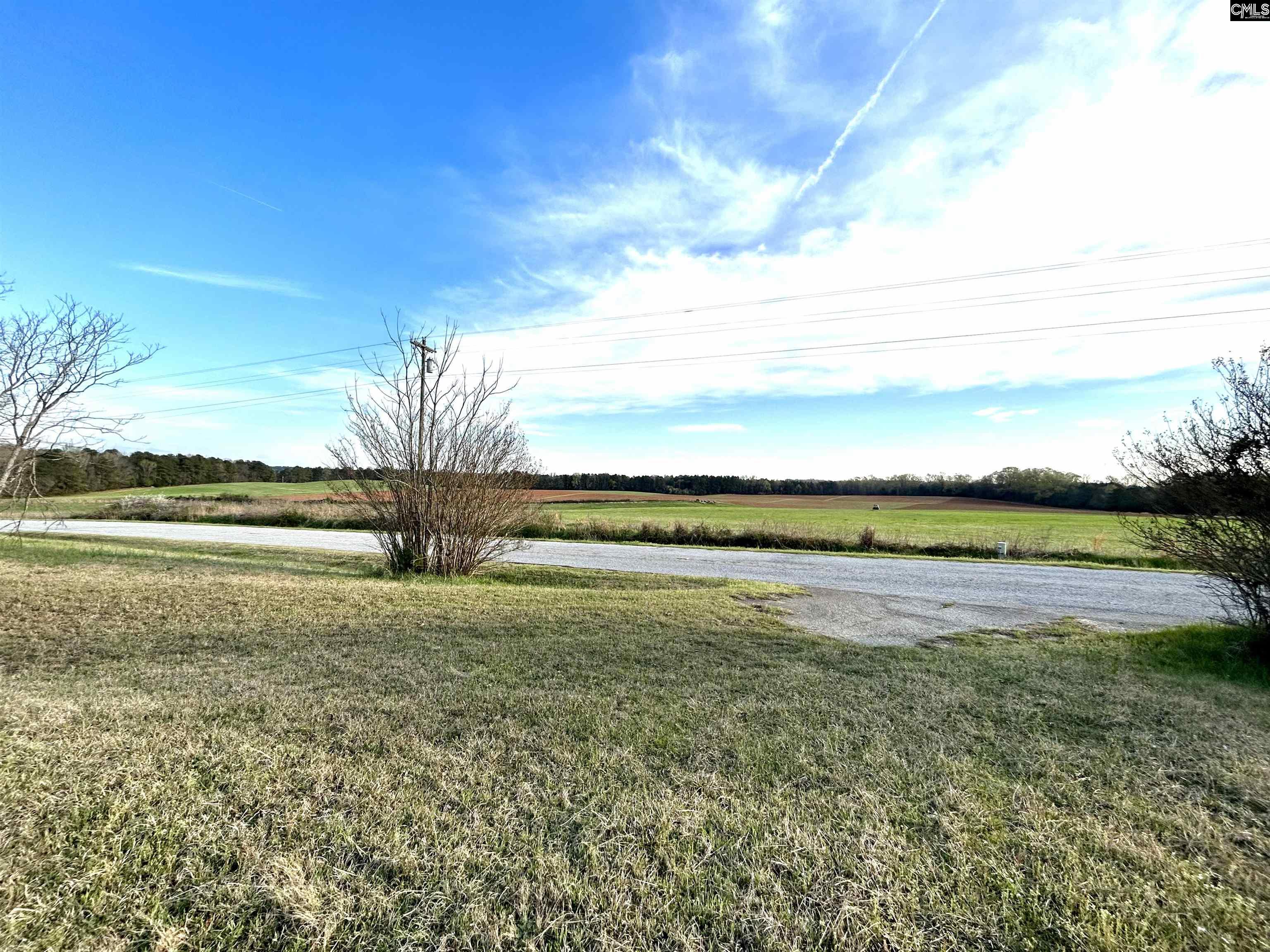 1621 Hughey Ferry Road, Pomaria, South Carolina image 11
