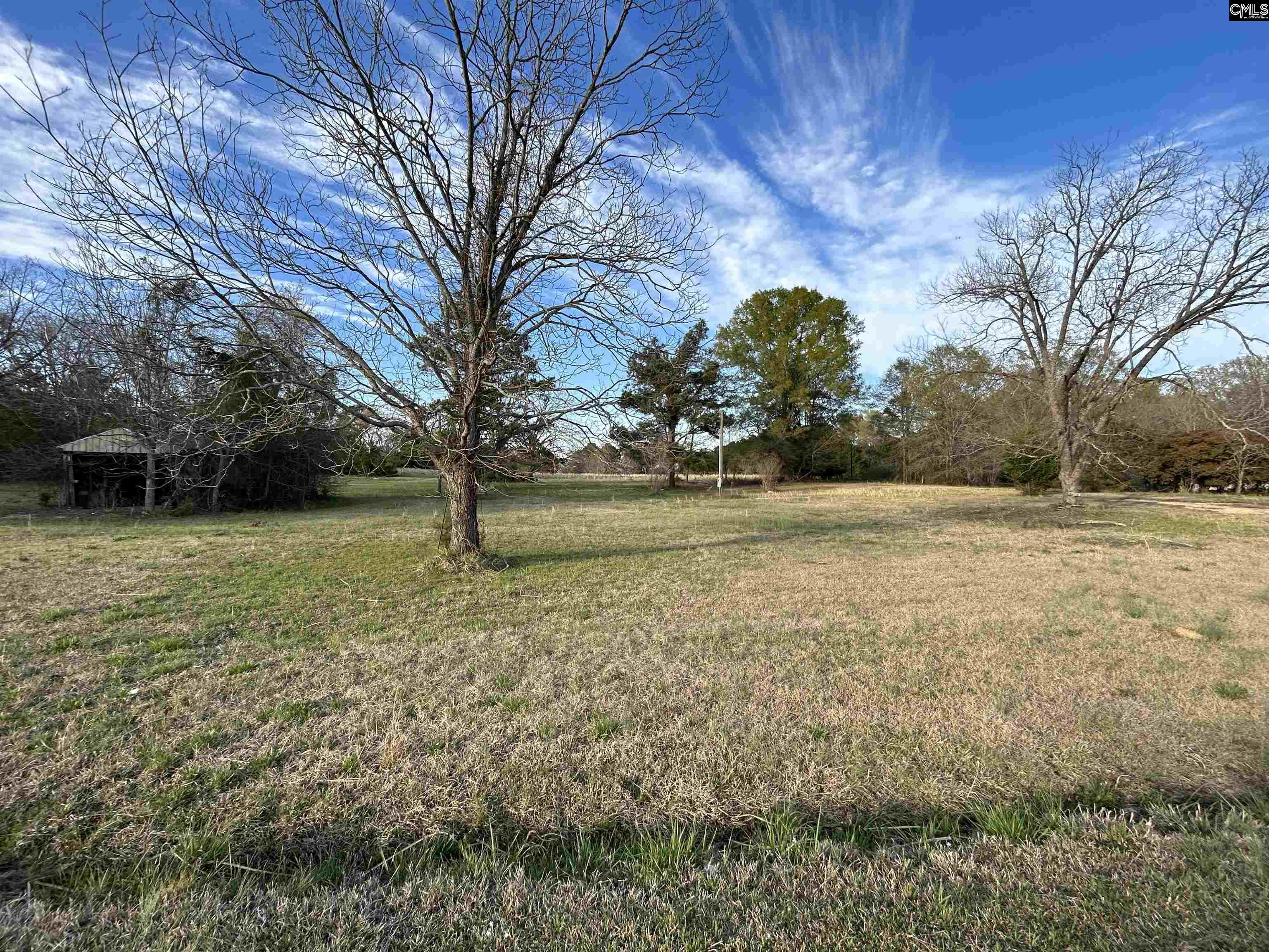 1621 Hughey Ferry Road, Pomaria, South Carolina image 3