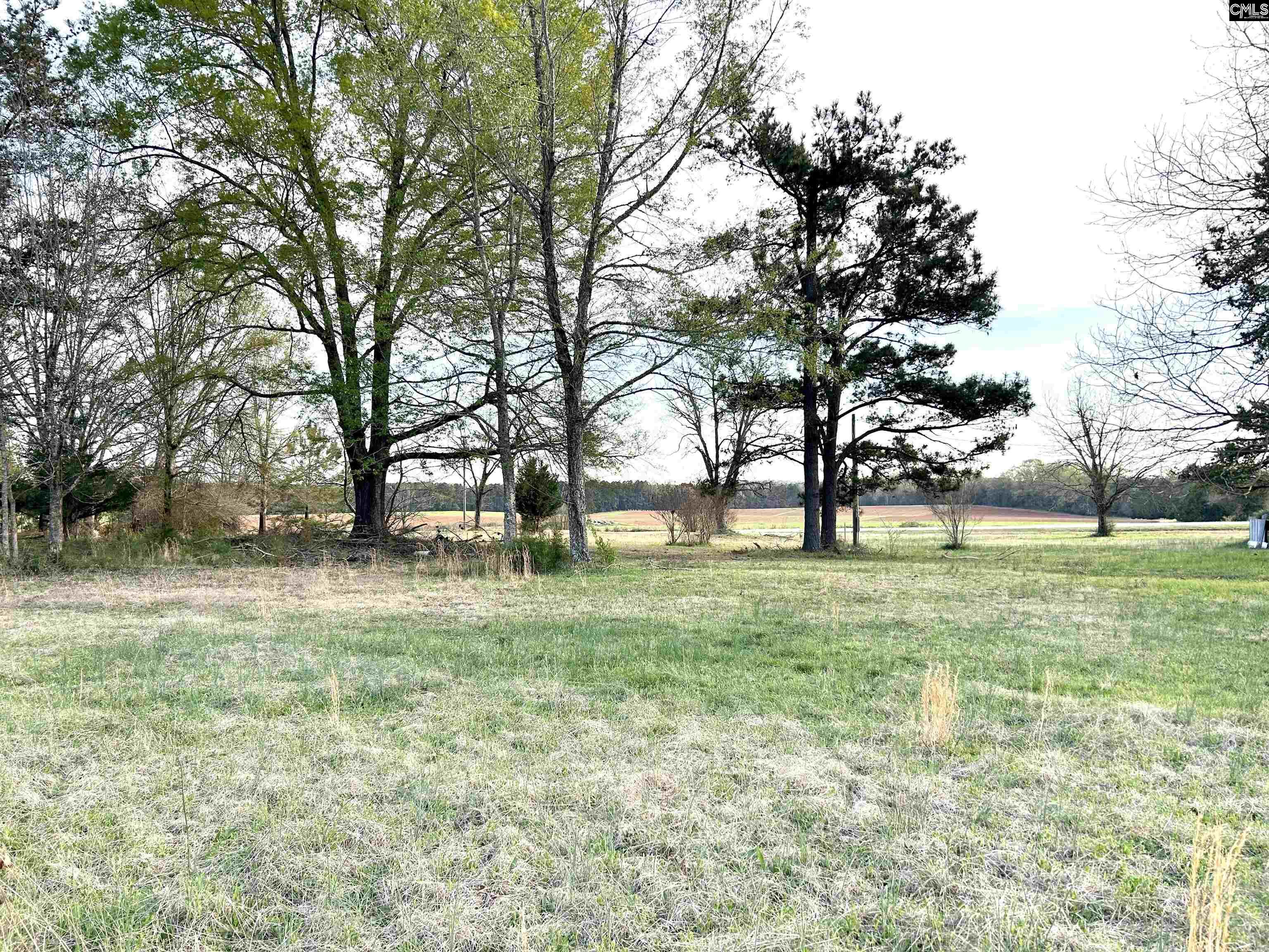 1621 Hughey Ferry Road, Pomaria, South Carolina image 4