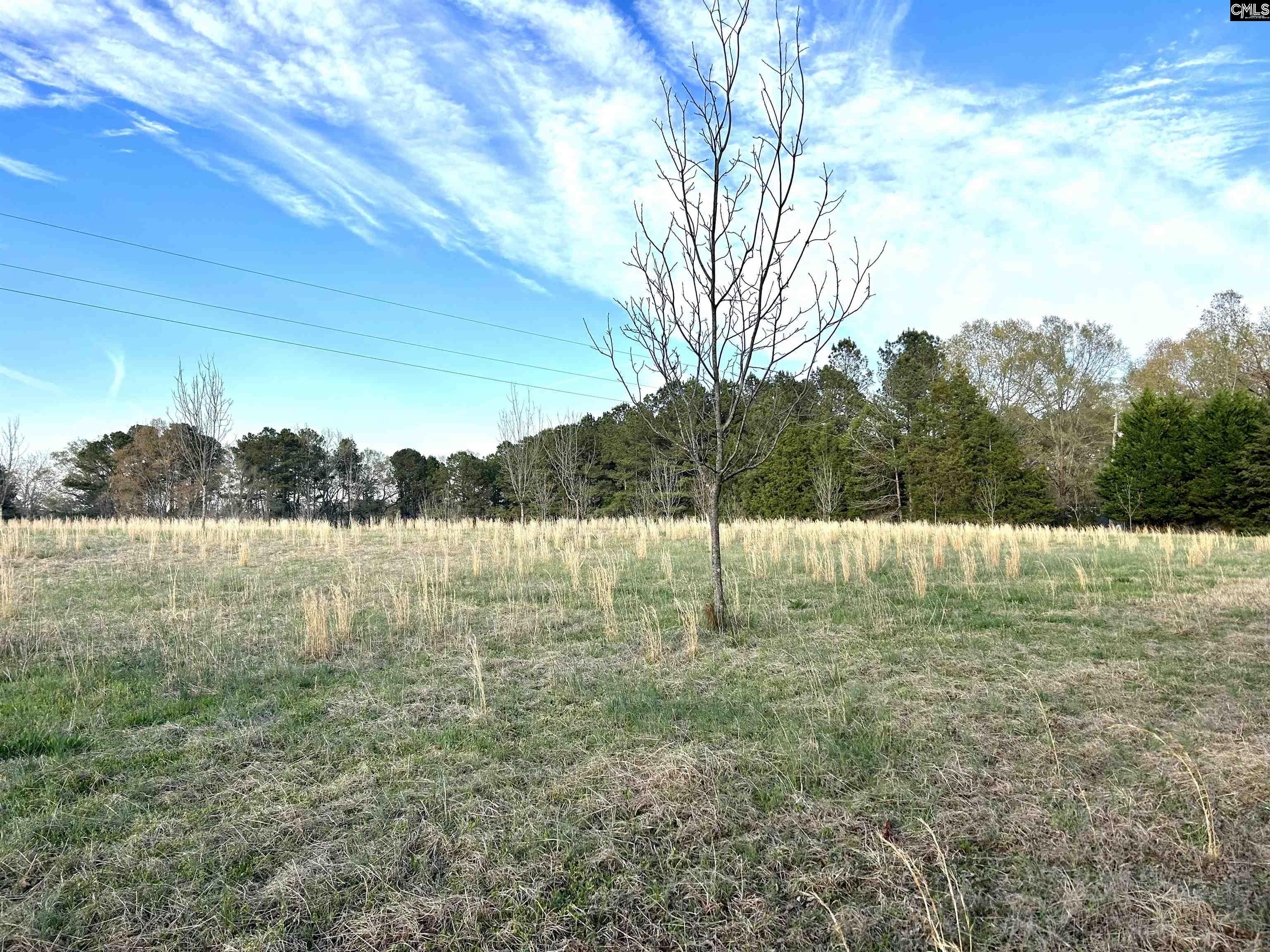 1621 Hughey Ferry Road, Pomaria, South Carolina image 8