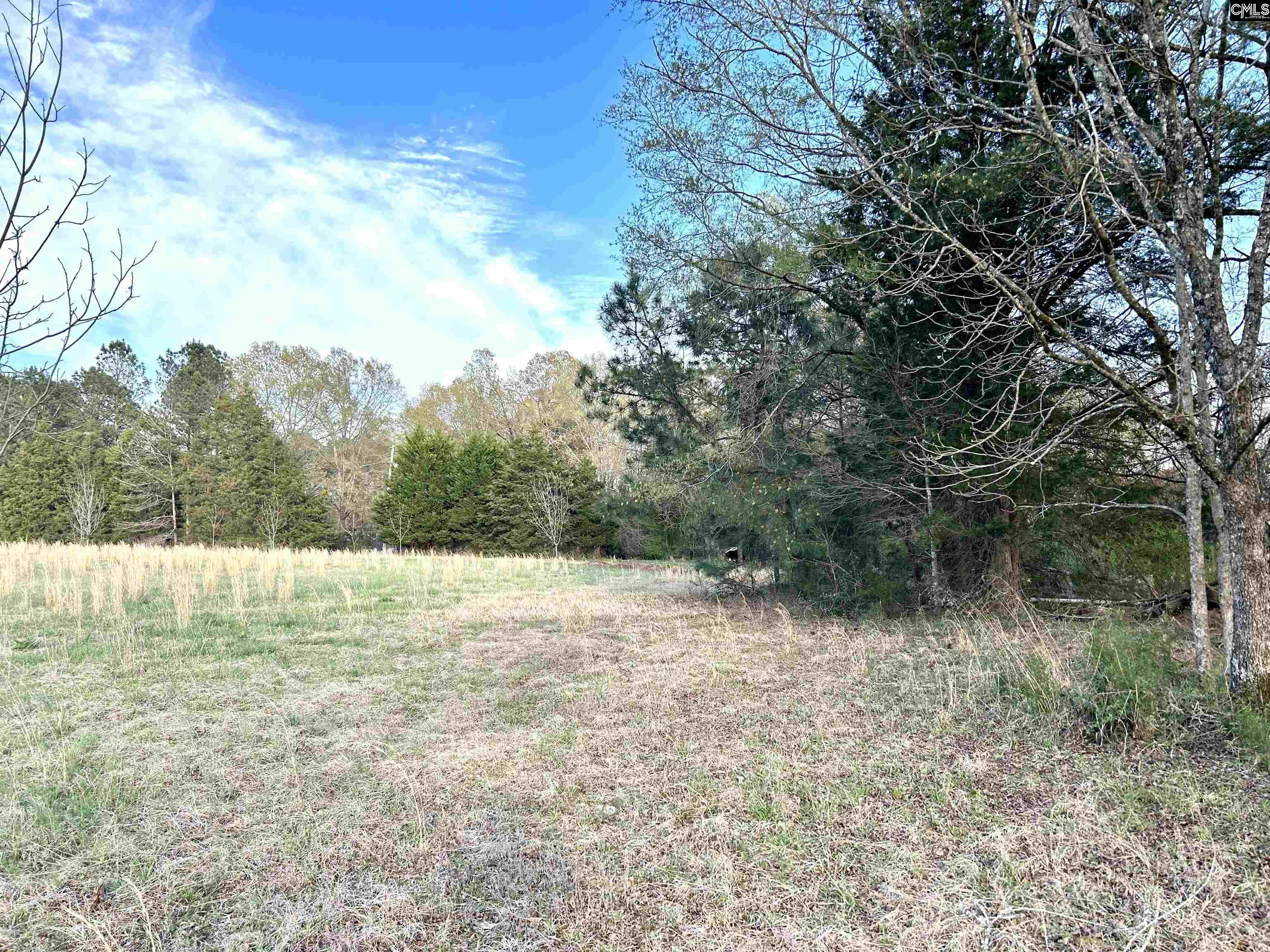 1621 Hughey Ferry Road, Pomaria, South Carolina image 10