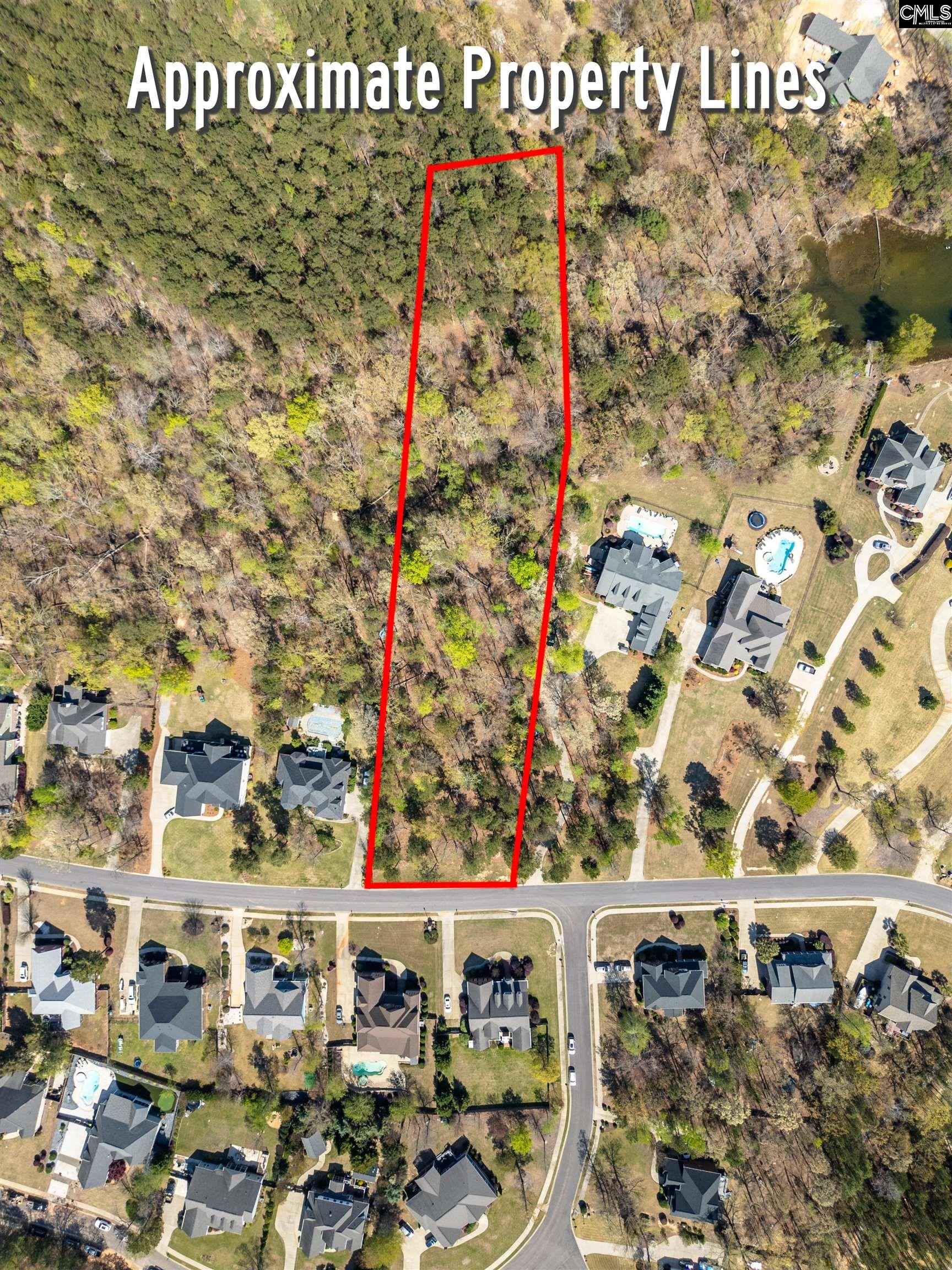 153 Pintail Lake Drive, Gilbert, South Carolina image 1