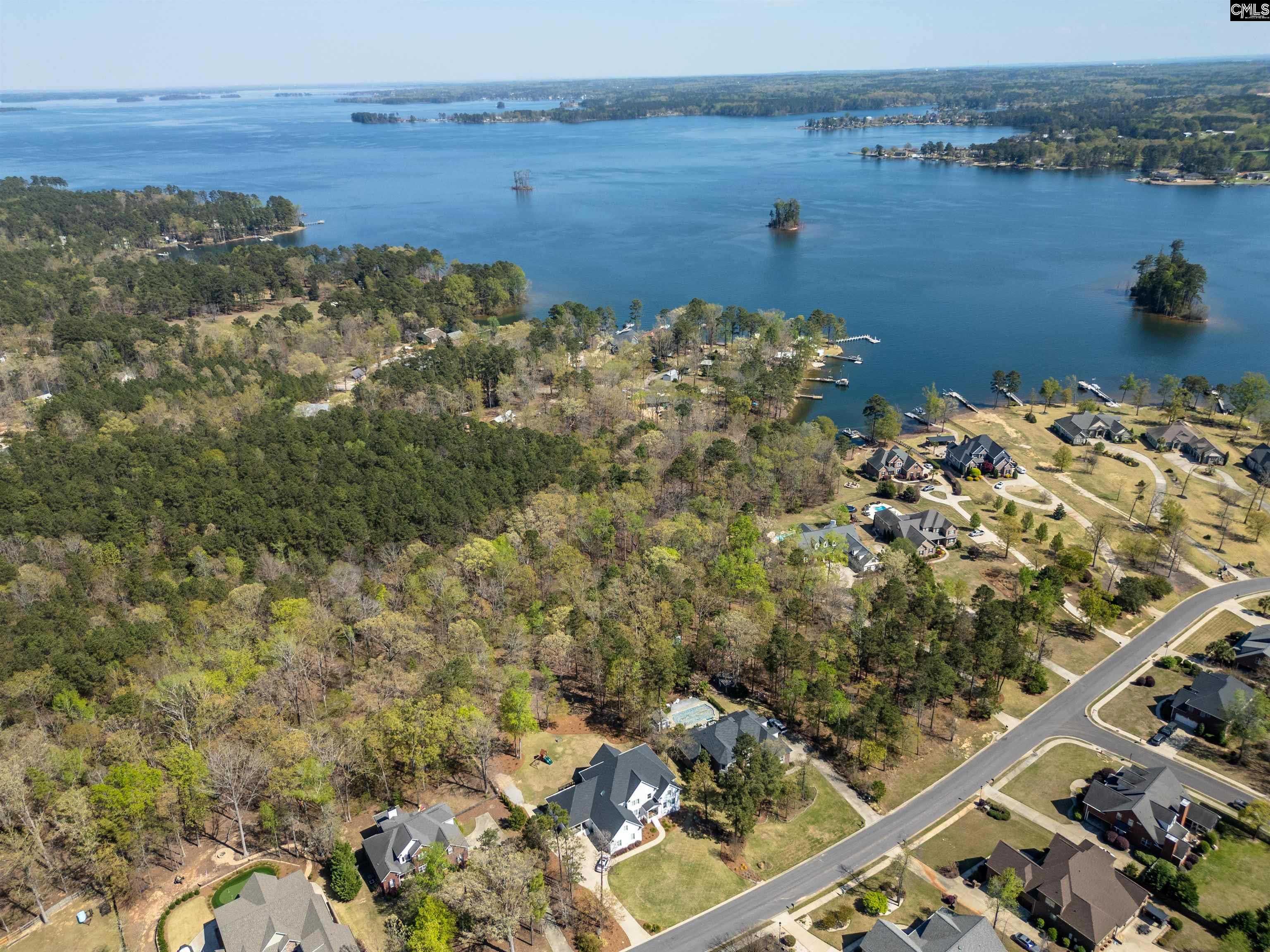 153 Pintail Lake Drive, Gilbert, South Carolina image 7