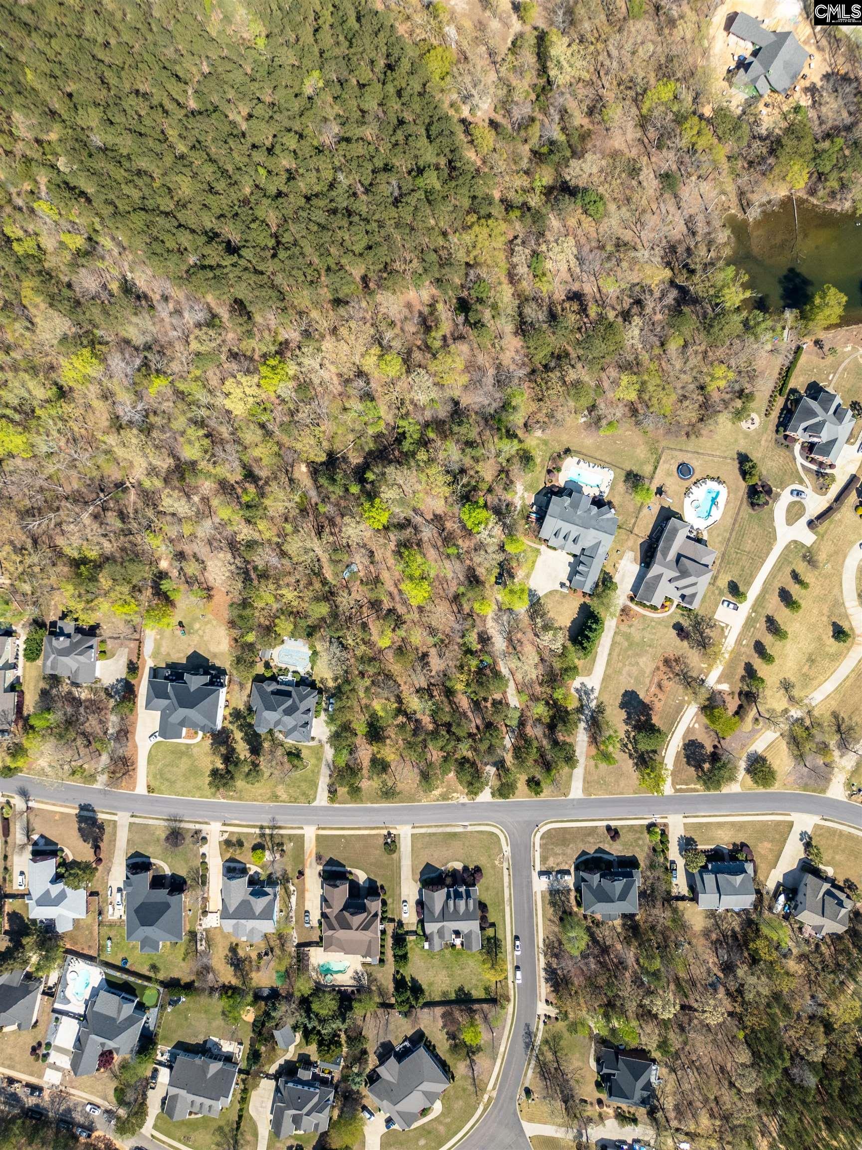 153 Pintail Lake Drive, Gilbert, South Carolina image 8