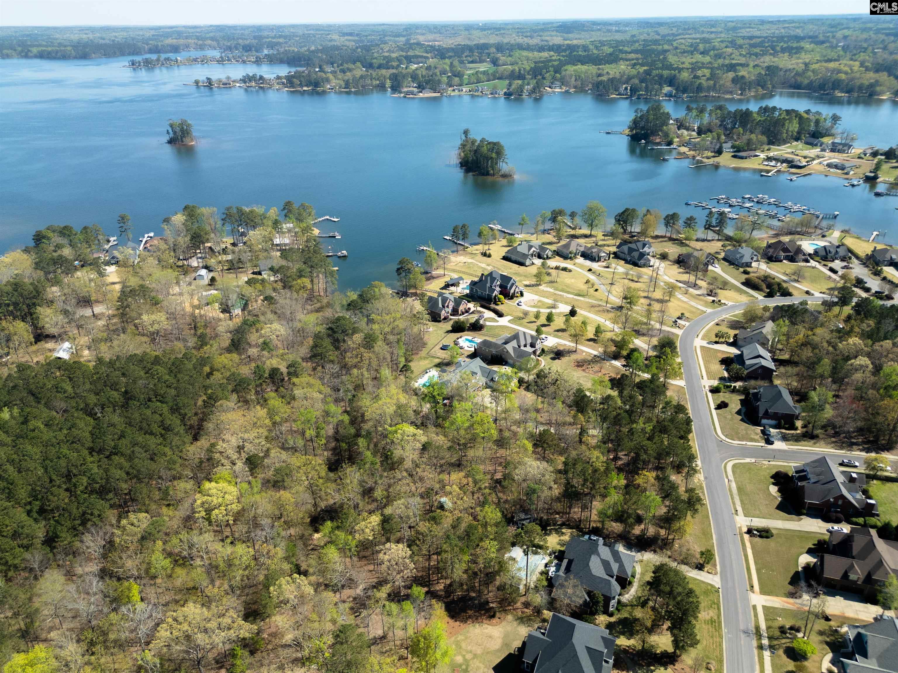 153 Pintail Lake Drive, Gilbert, South Carolina image 9