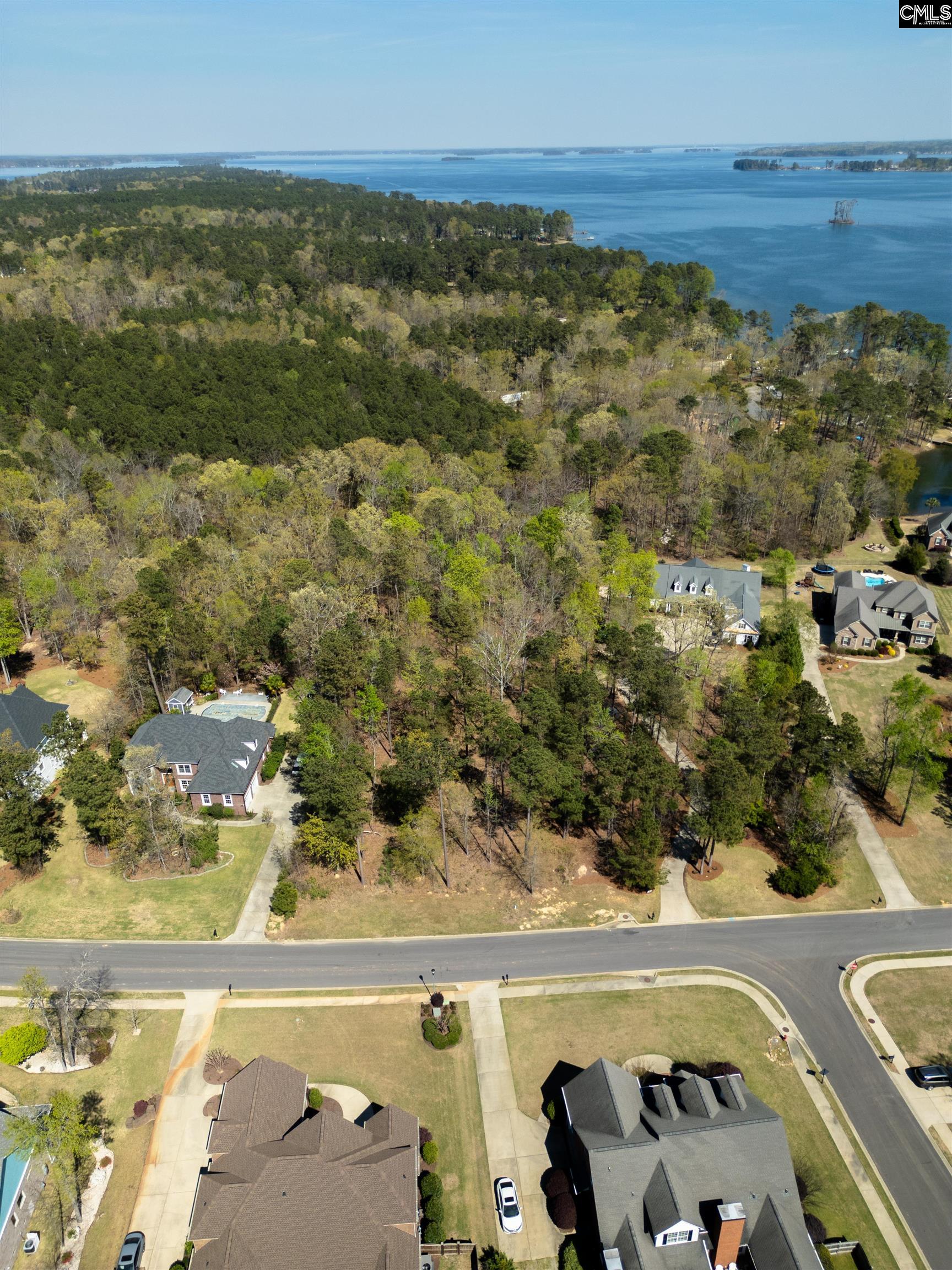 153 Pintail Lake Drive, Gilbert, South Carolina image 10