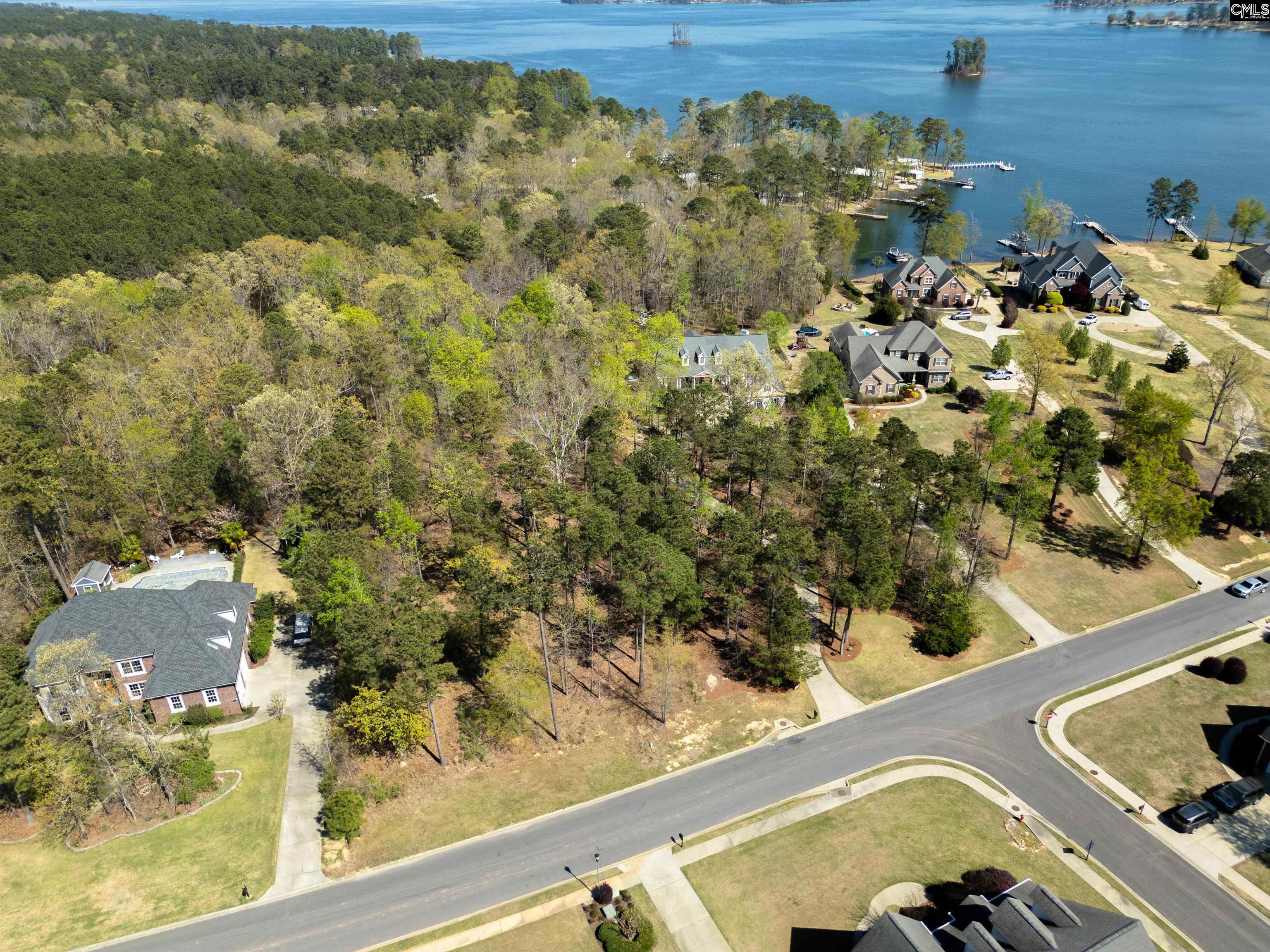 153 Pintail Lake Drive, Gilbert, South Carolina image 11