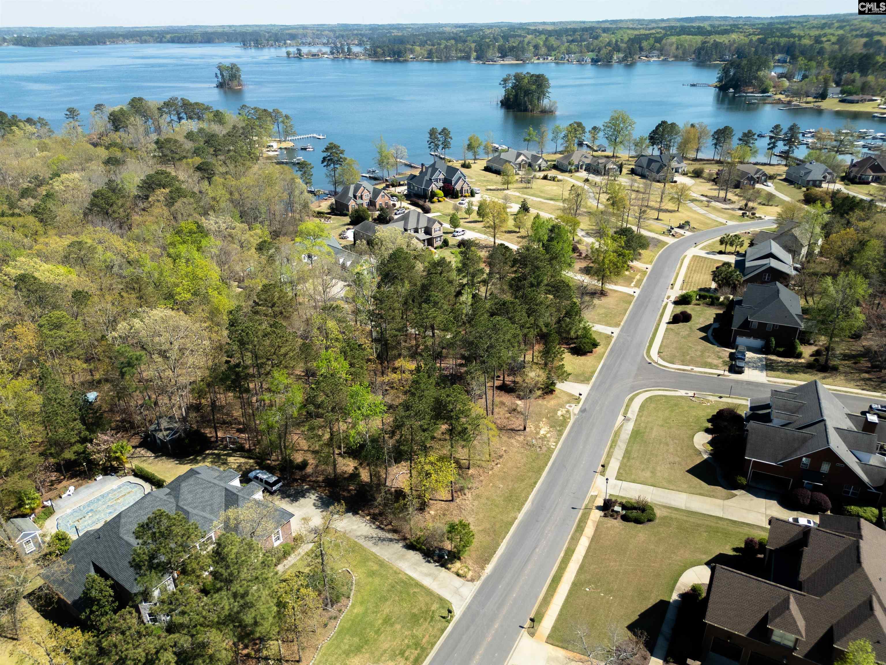 153 Pintail Lake Drive, Gilbert, South Carolina image 12