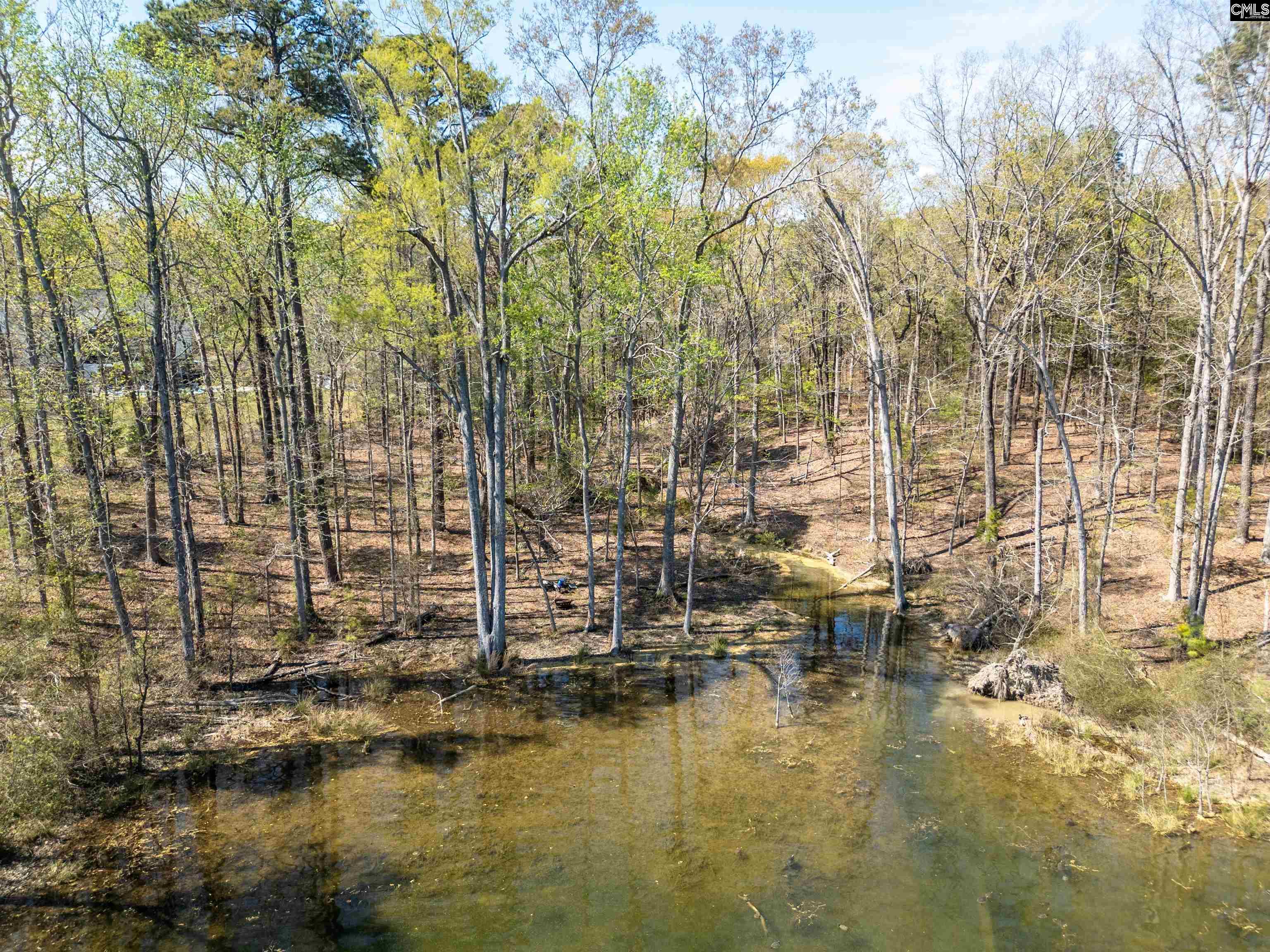 153 Pintail Lake Drive, Gilbert, South Carolina image 3