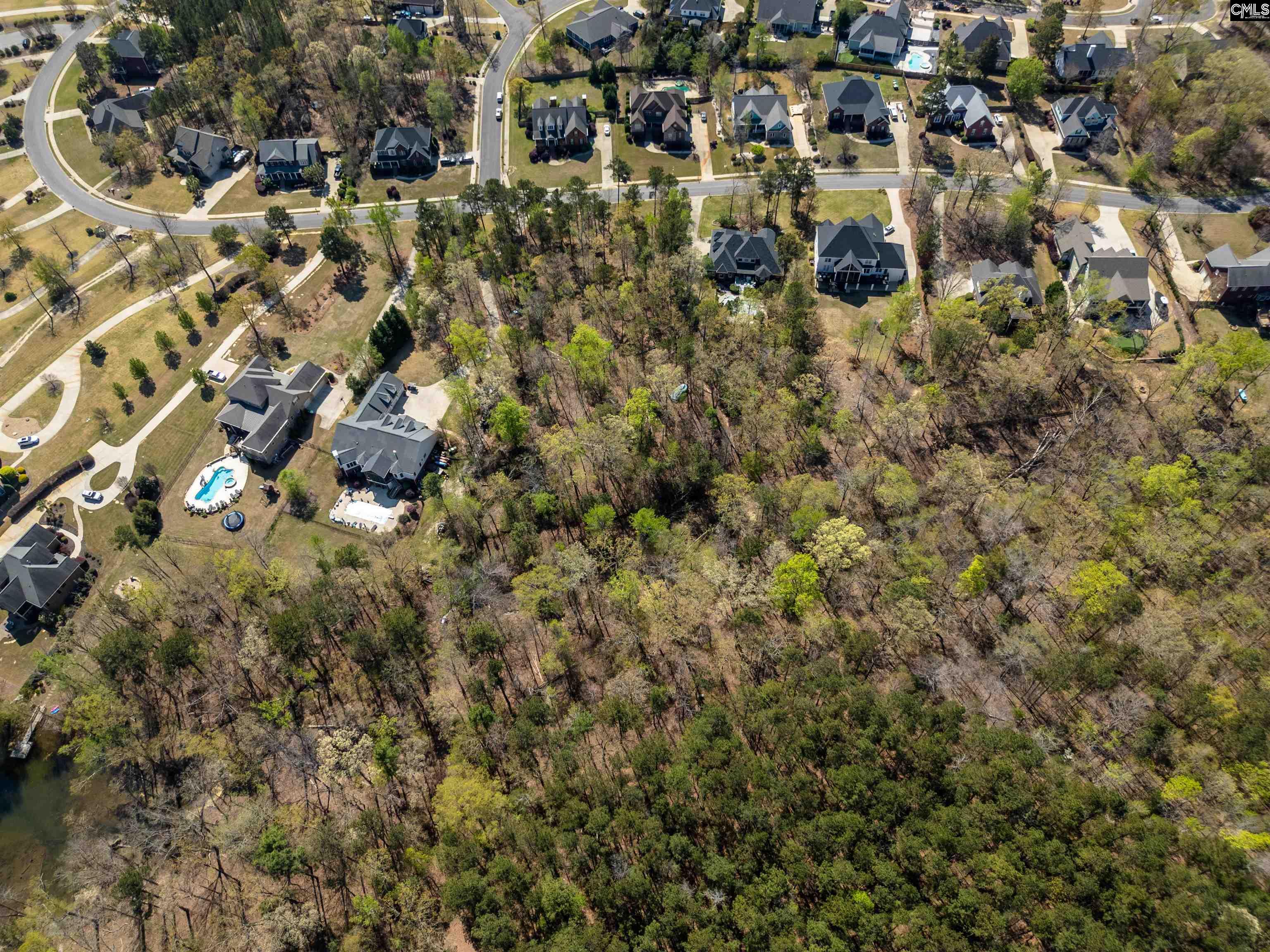153 Pintail Lake Drive, Gilbert, South Carolina image 5
