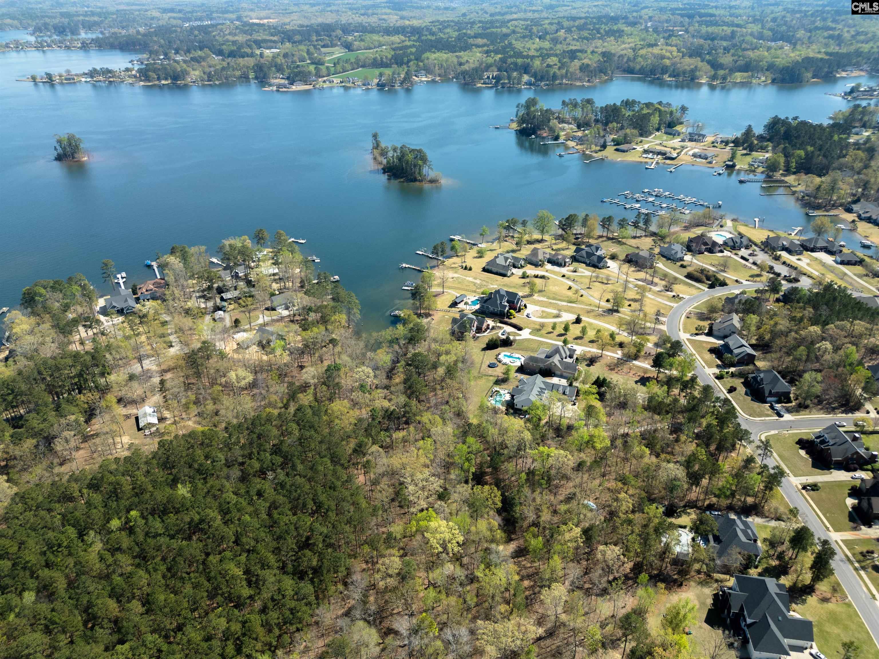 153 Pintail Lake Drive, Gilbert, South Carolina image 6