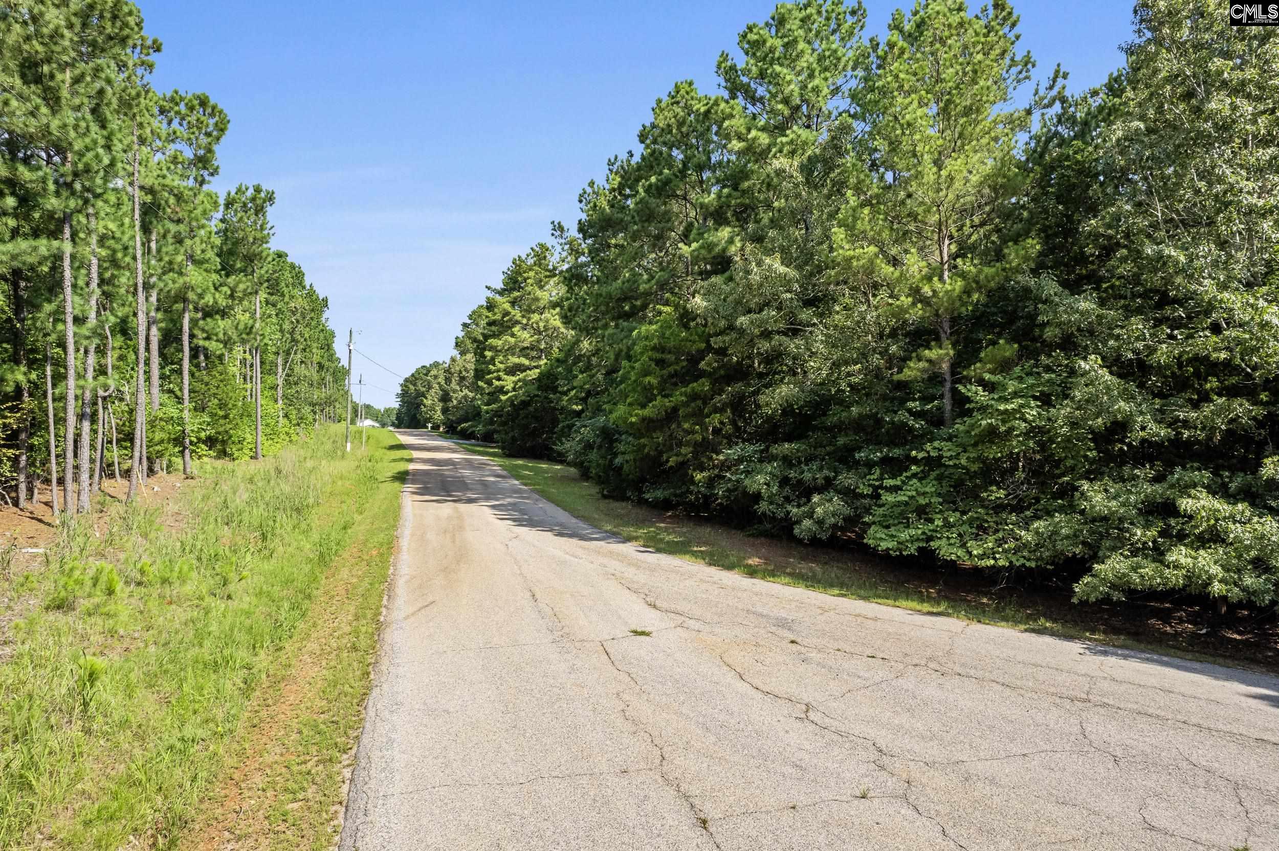 245 Goodlett Ln, Blair, South Carolina image 3