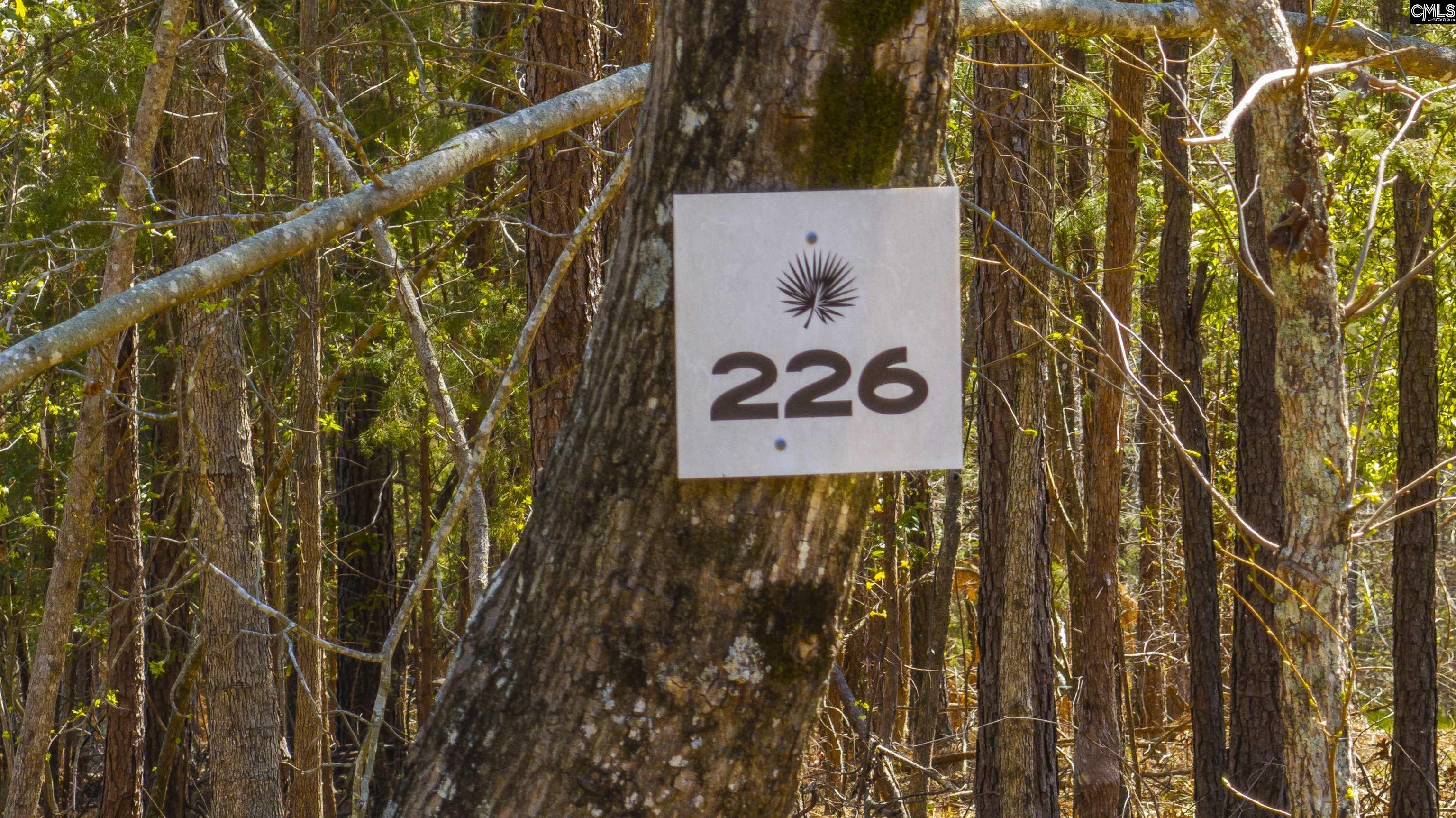 226 Granny Hill Road, Prosperity, South Carolina image 27