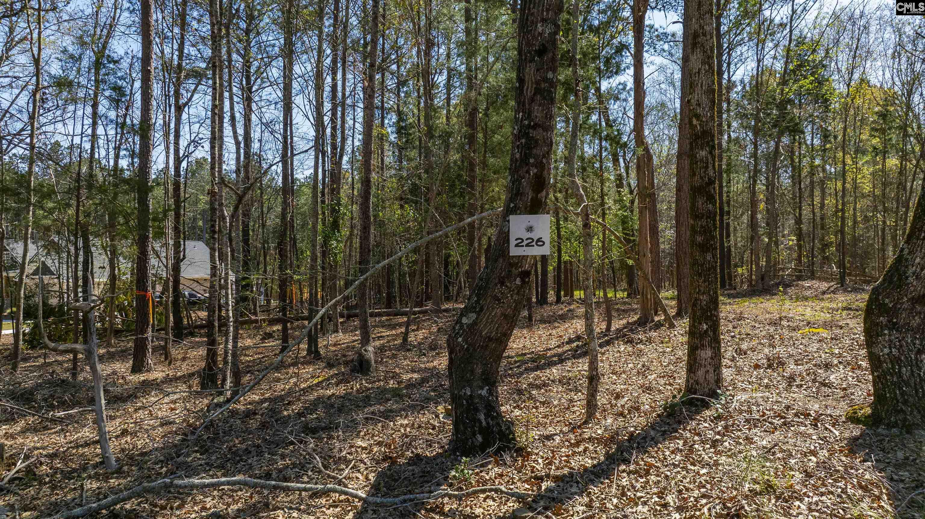226 Granny Hill Road, Prosperity, South Carolina image 28