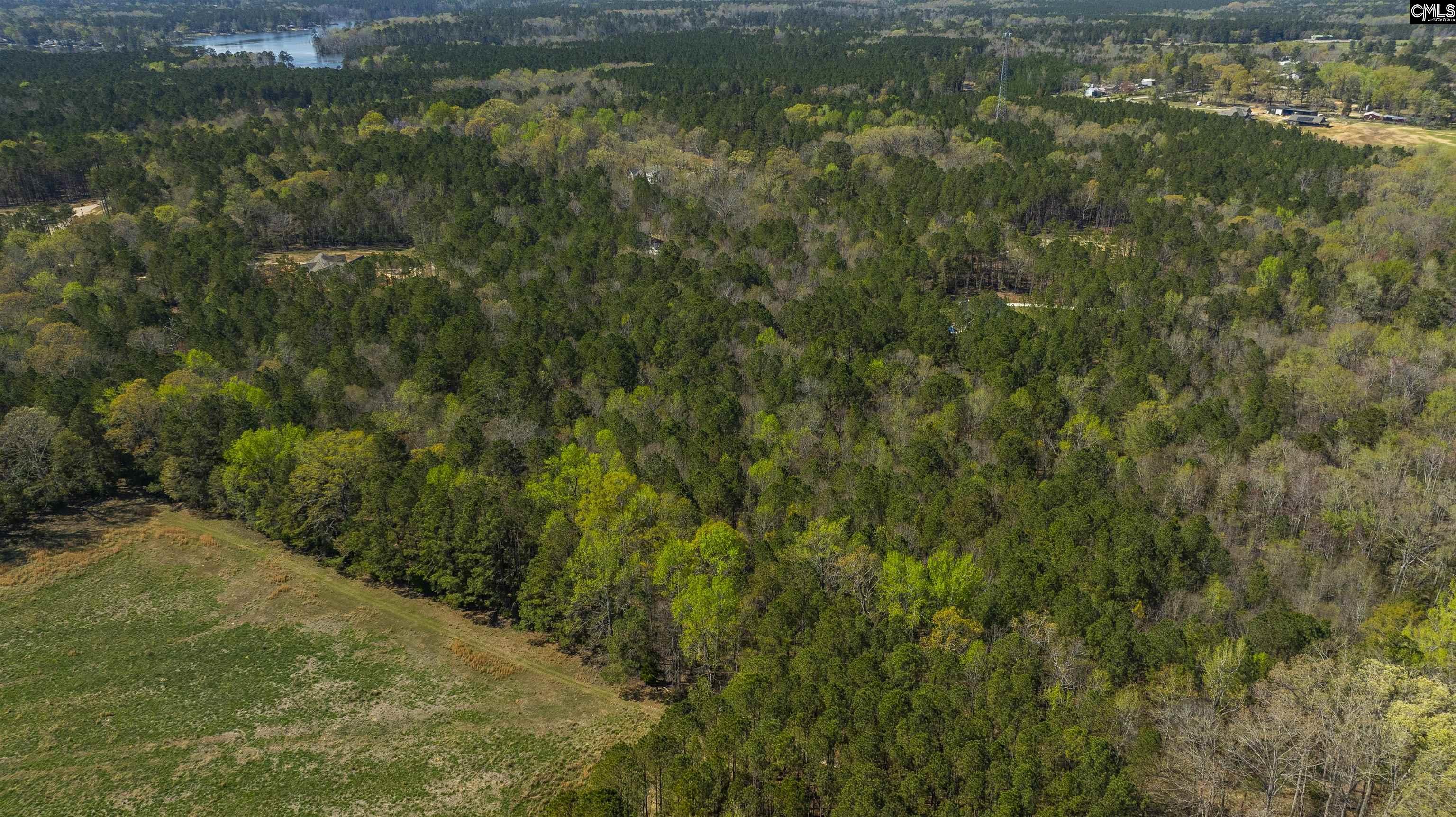 226 Granny Hill Road, Prosperity, South Carolina image 32