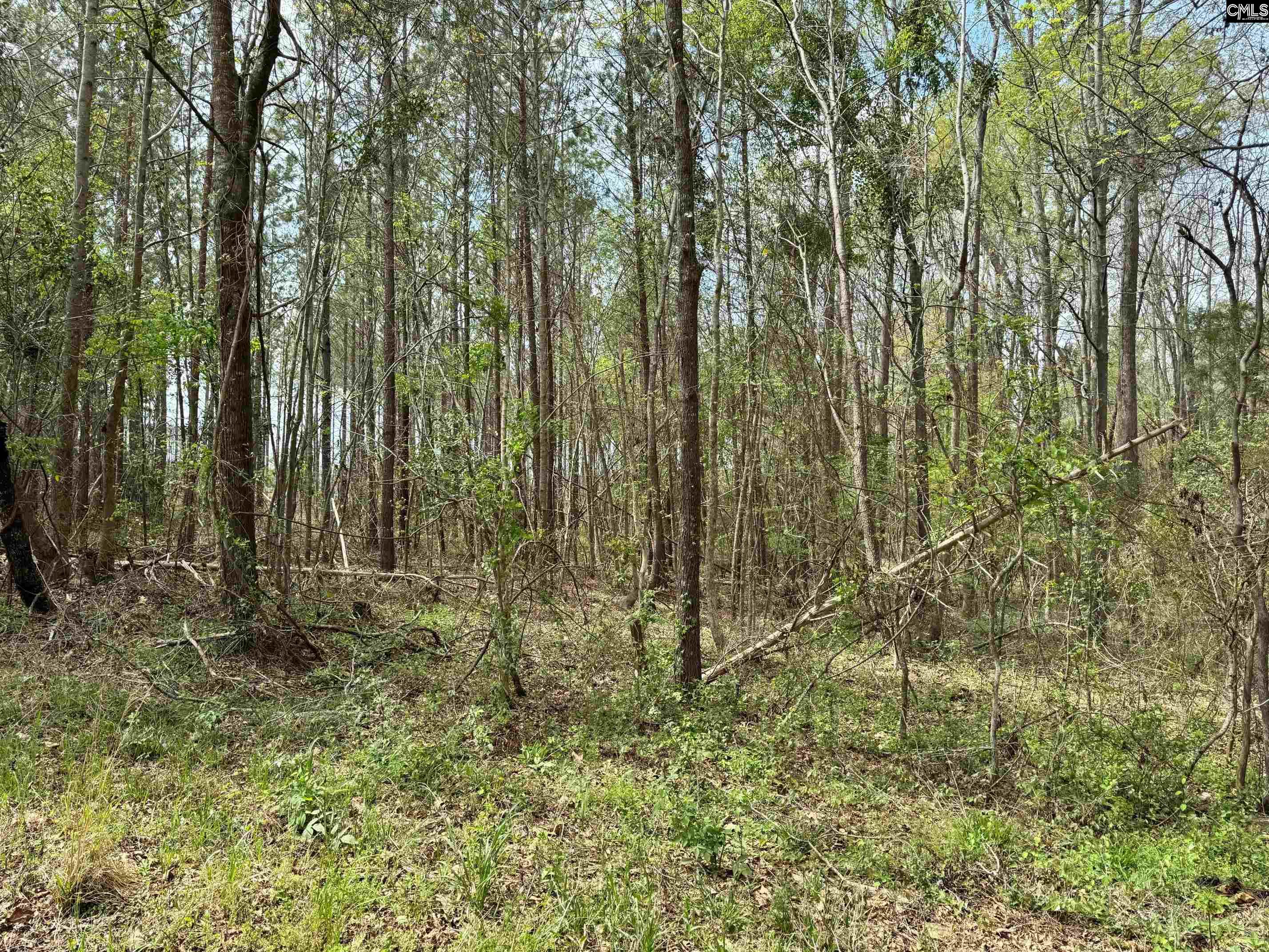 Shiloh Road, Saluda, South Carolina image 1