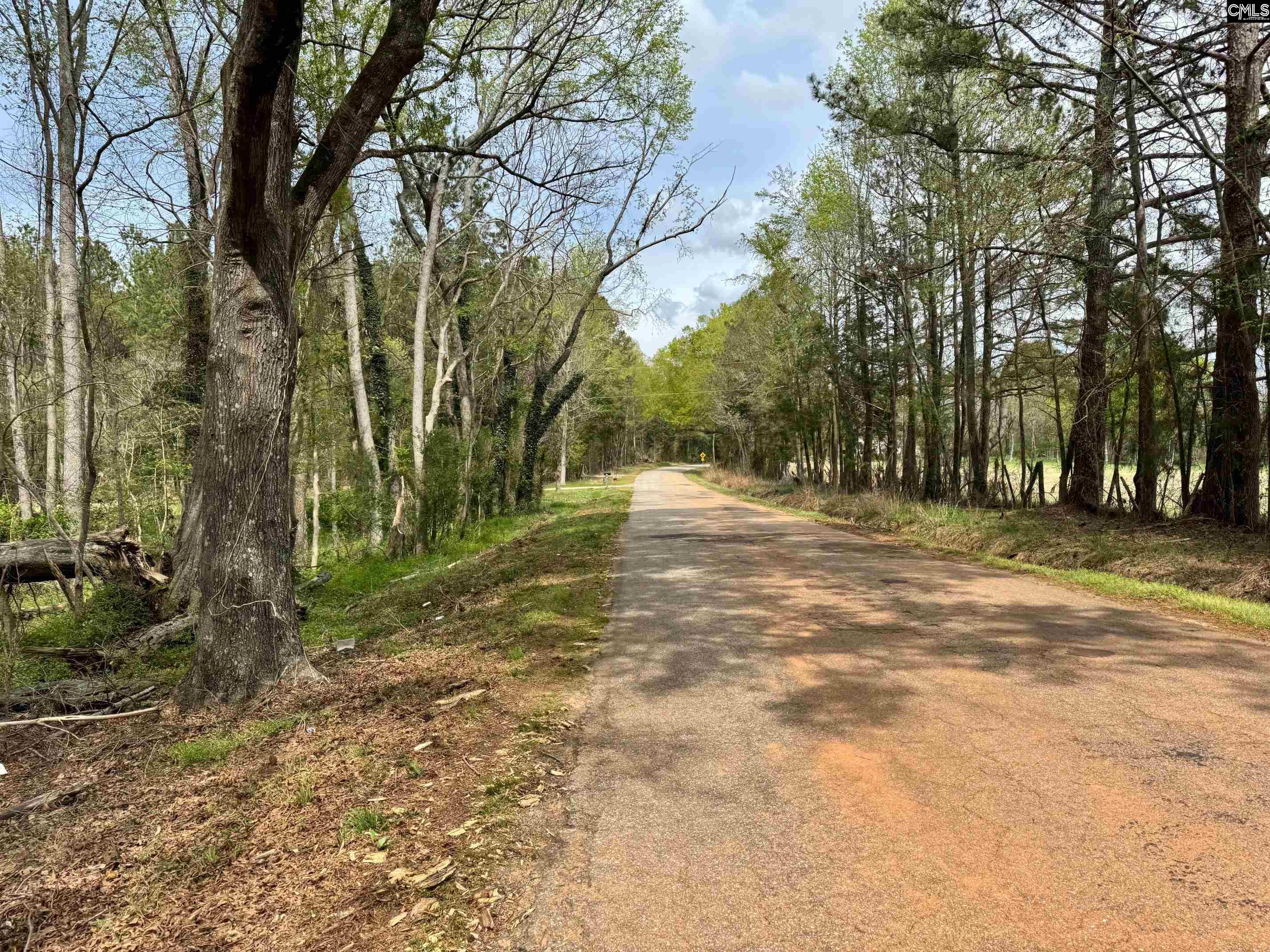Shiloh Road, Saluda, South Carolina image 2