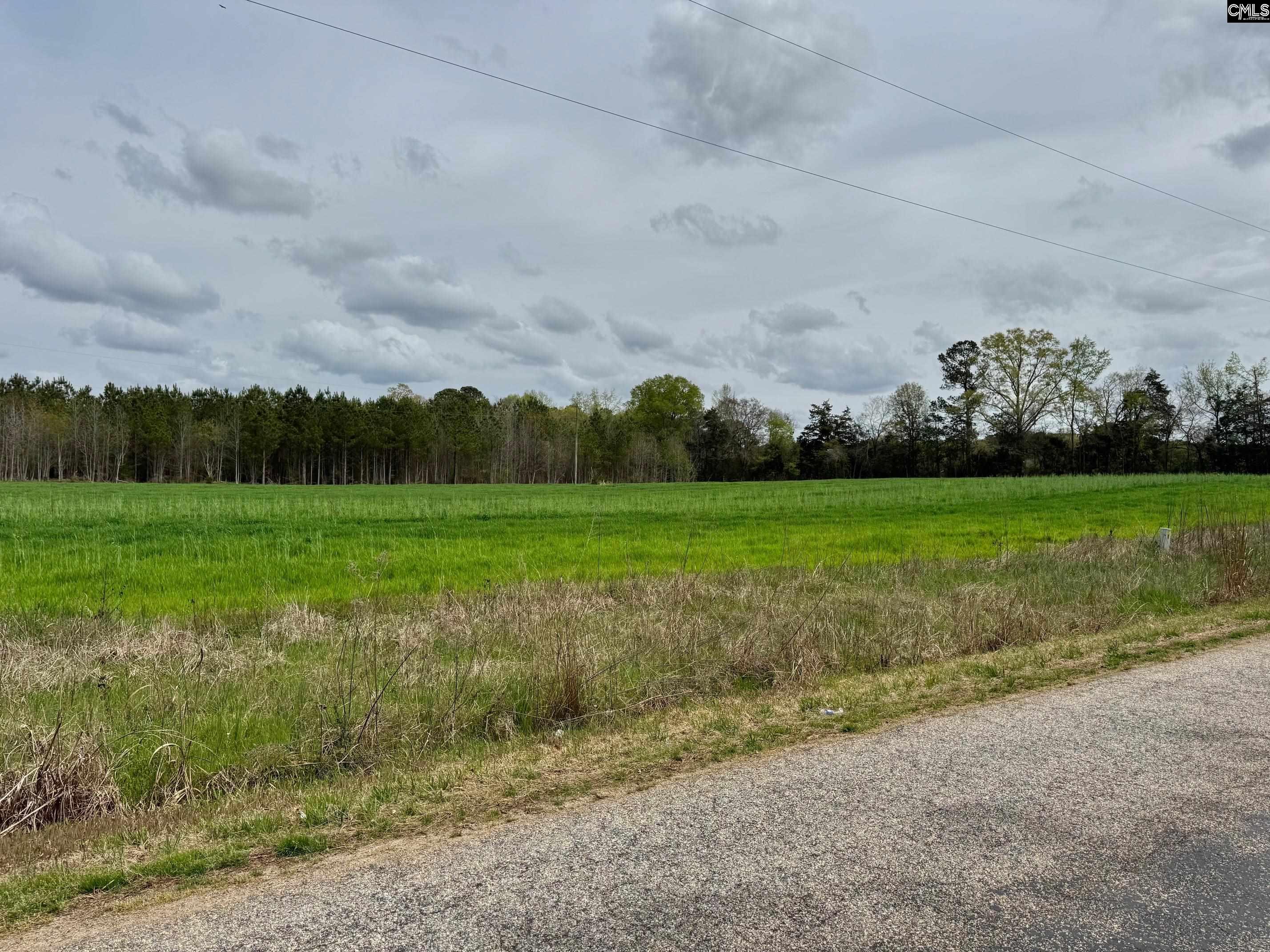 John J. Rushton Road, Saluda, South Carolina image 2