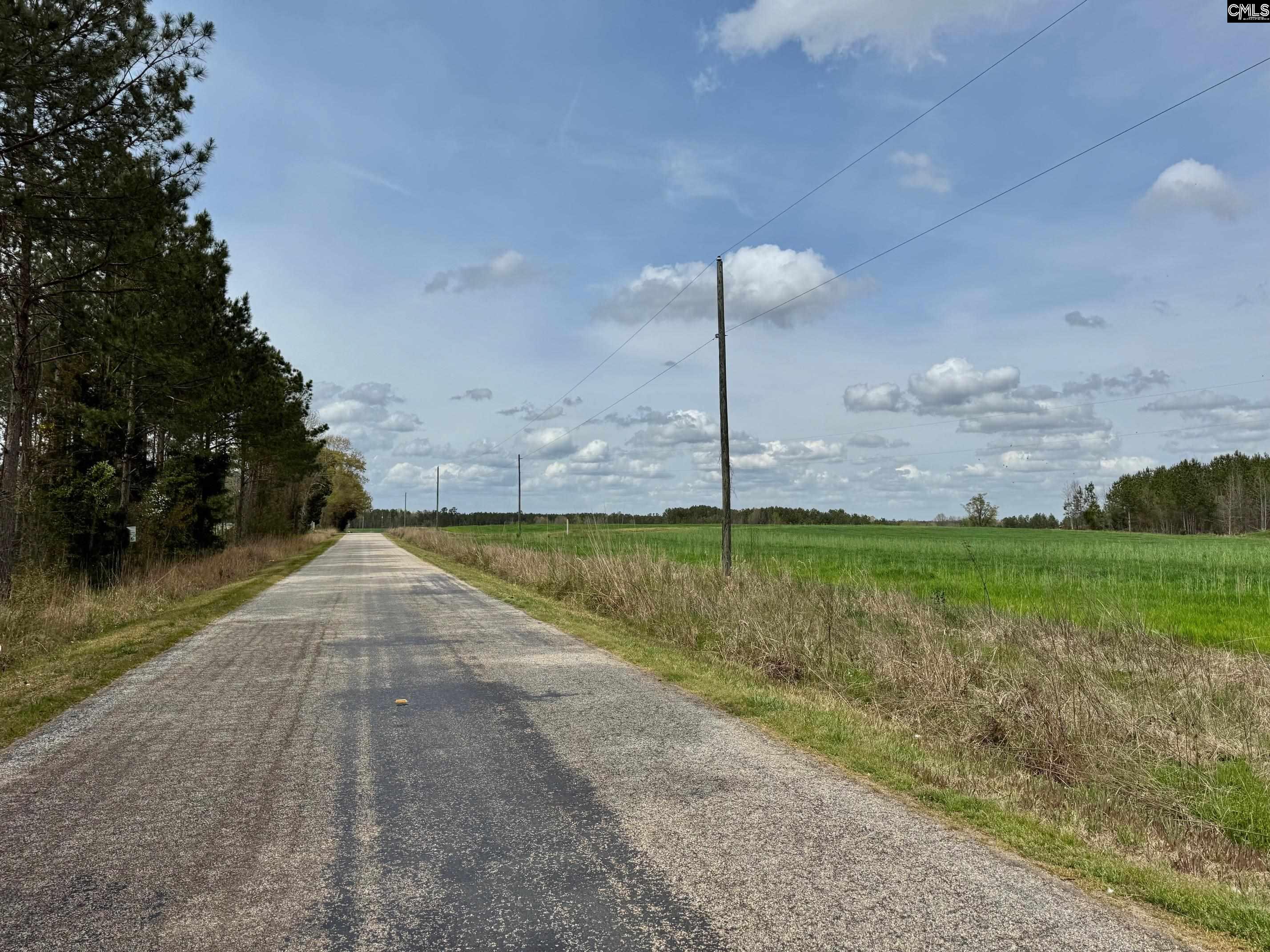John J. Rushton Road, Saluda, South Carolina image 3