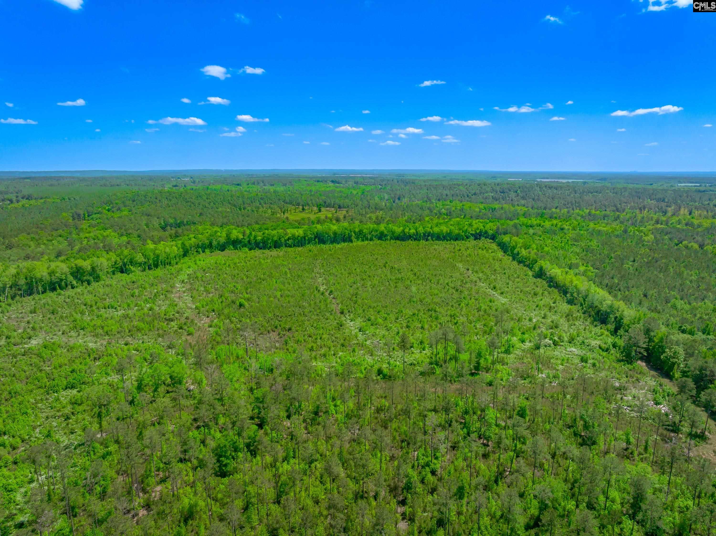 361 Sweet Street UNIT Lot 5 Rembert, SC 29128