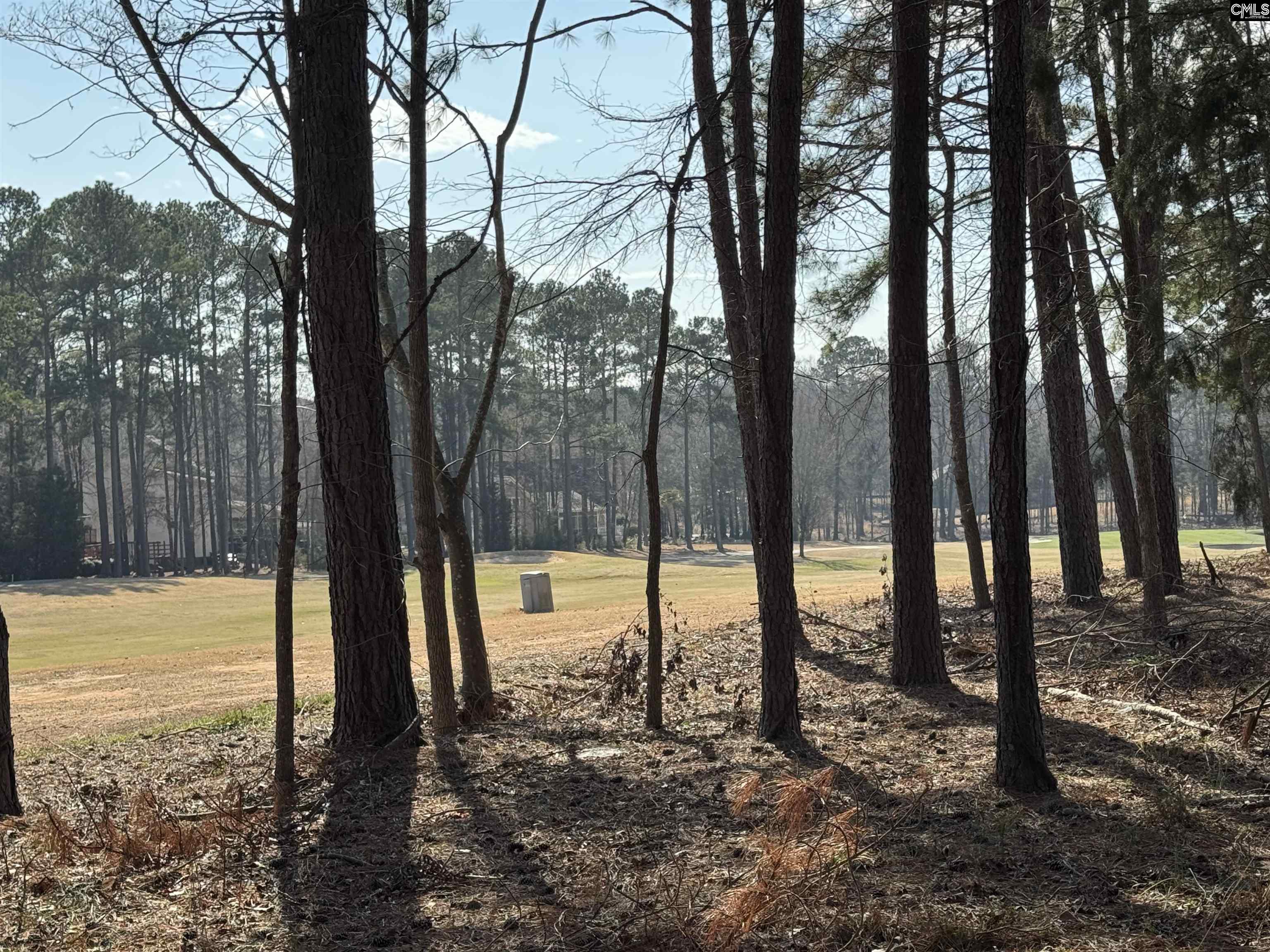 Misty Banks Drive, Chapin, South Carolina image 1
