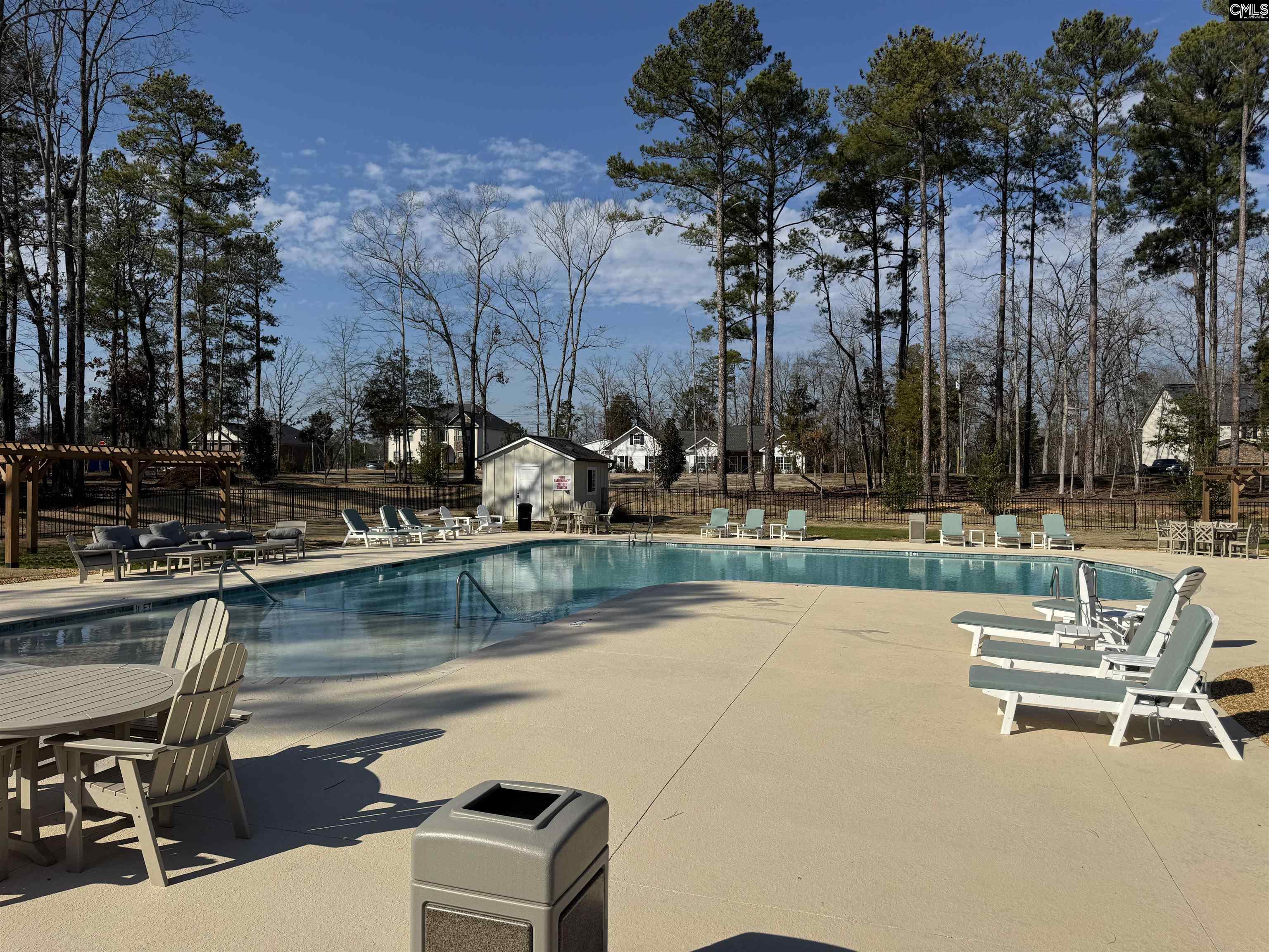 Misty Banks Drive, Chapin, South Carolina image 2