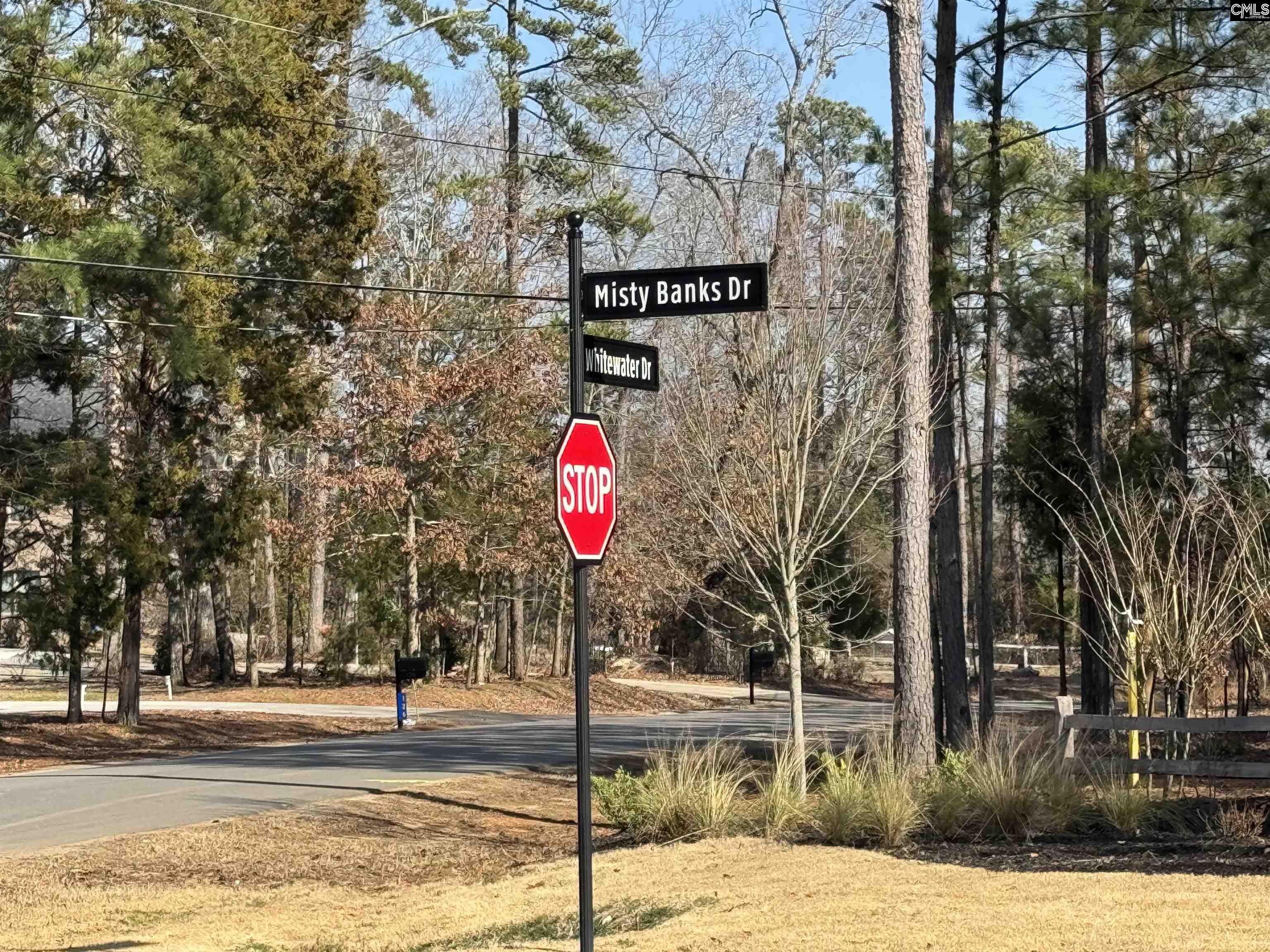 Misty Banks Drive, Chapin, South Carolina image 14