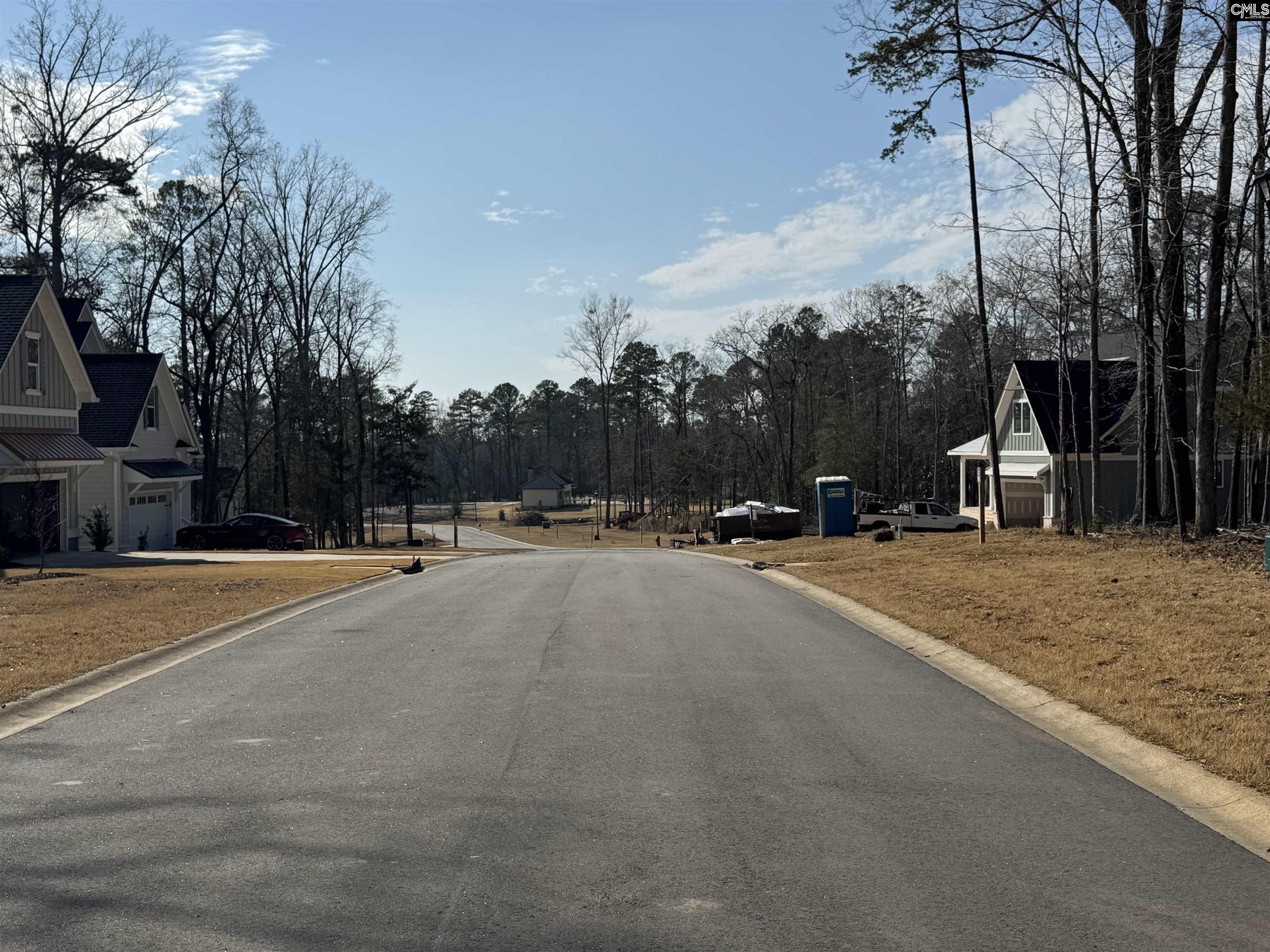 Misty Banks Drive, Chapin, South Carolina image 15