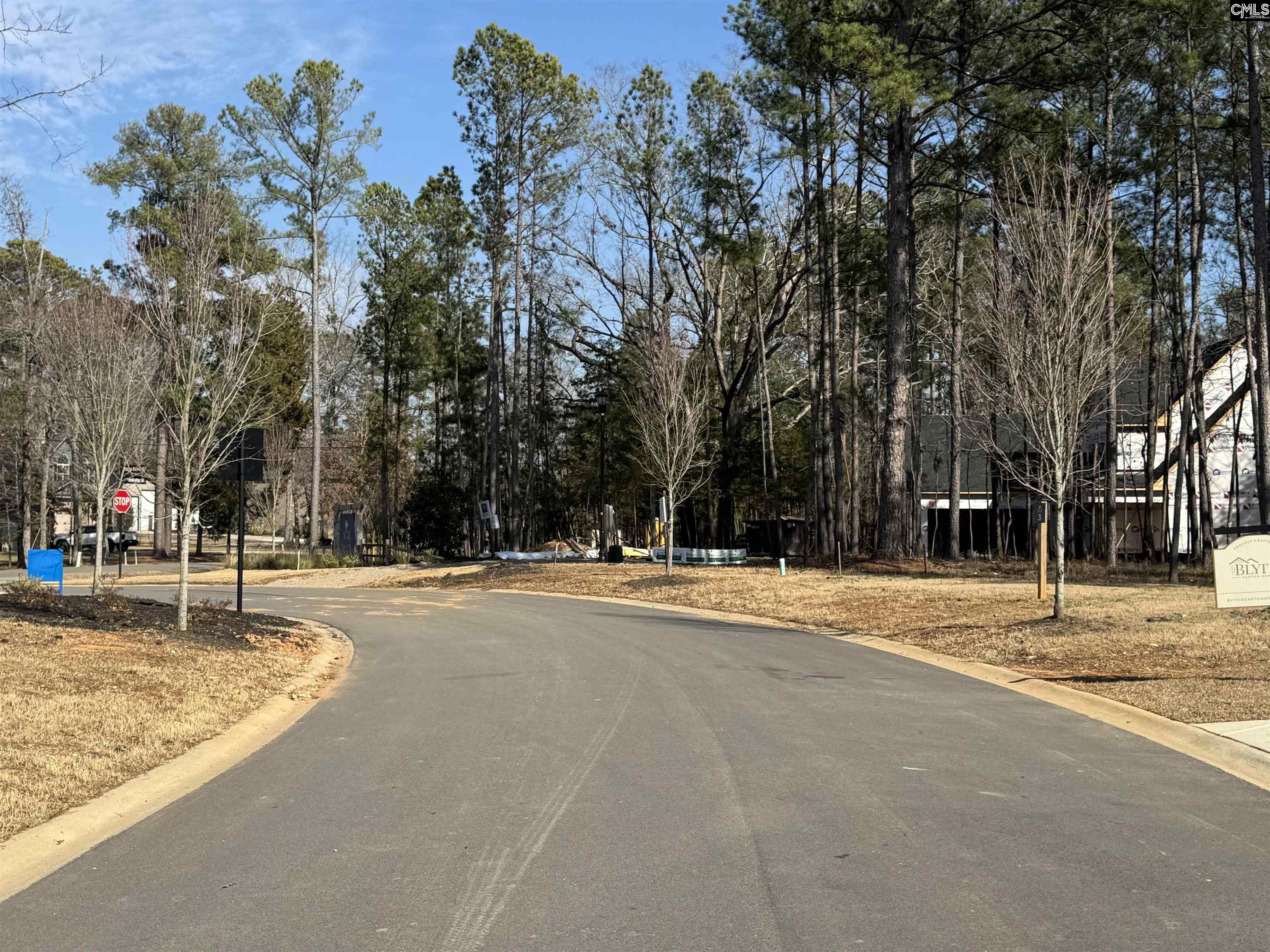 Misty Banks Drive, Chapin, South Carolina image 16