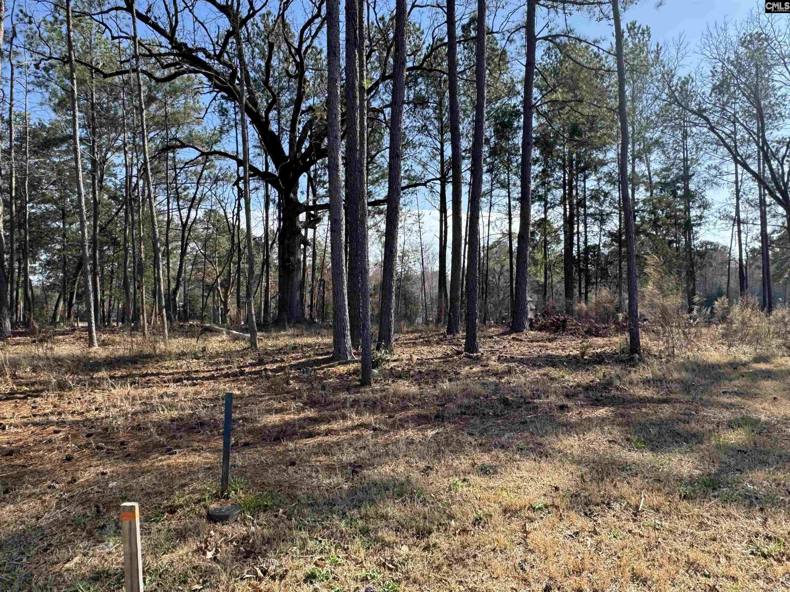Misty Banks Drive, Chapin, South Carolina image 3