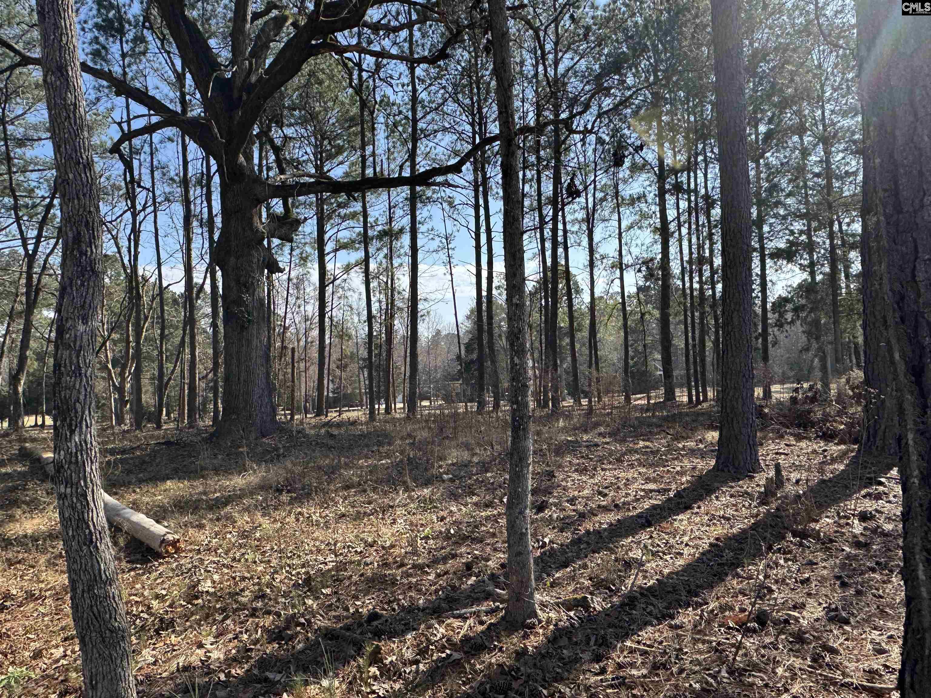 Misty Banks Drive, Chapin, South Carolina image 4