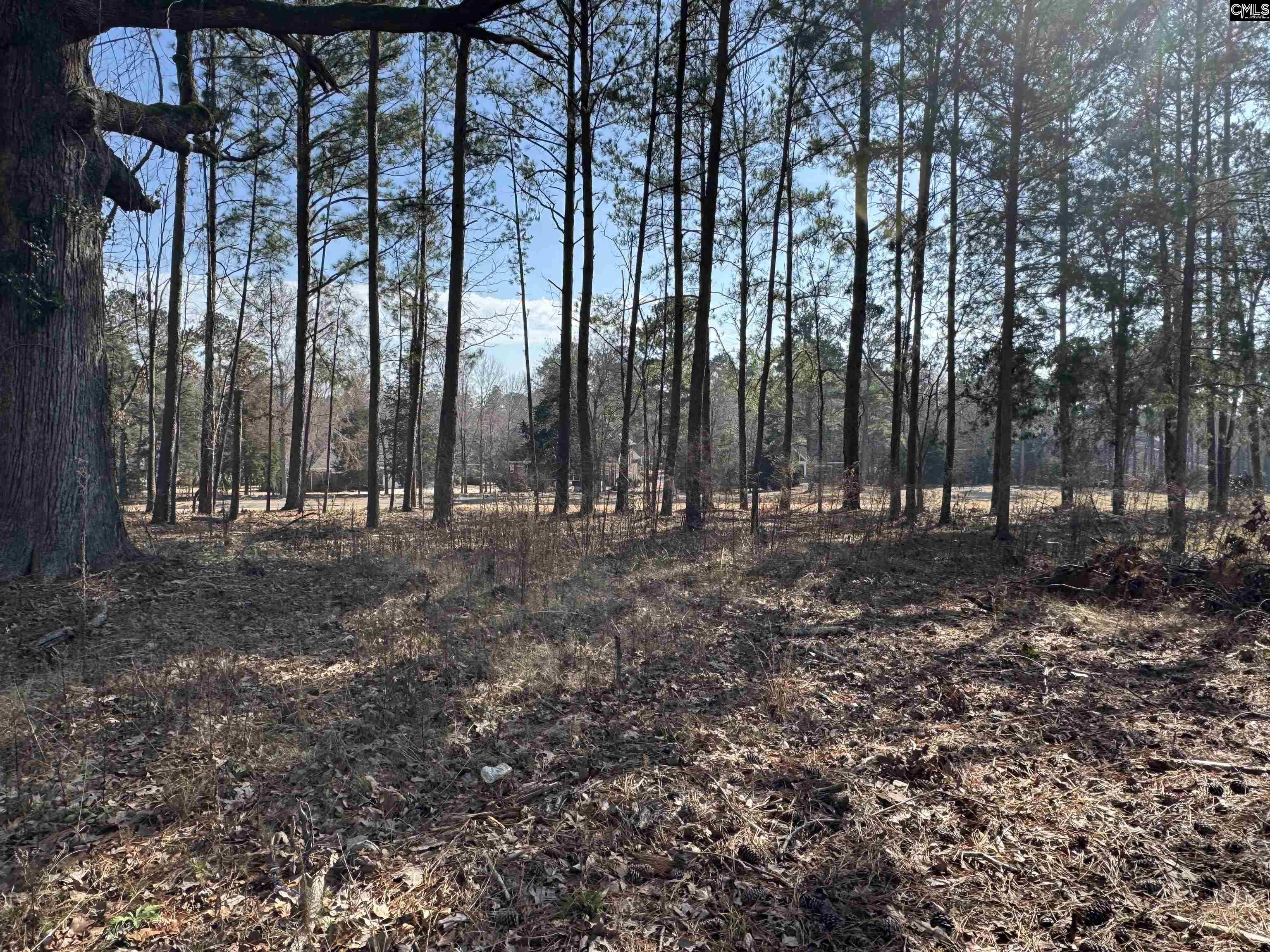 Misty Banks Drive, Chapin, South Carolina image 6