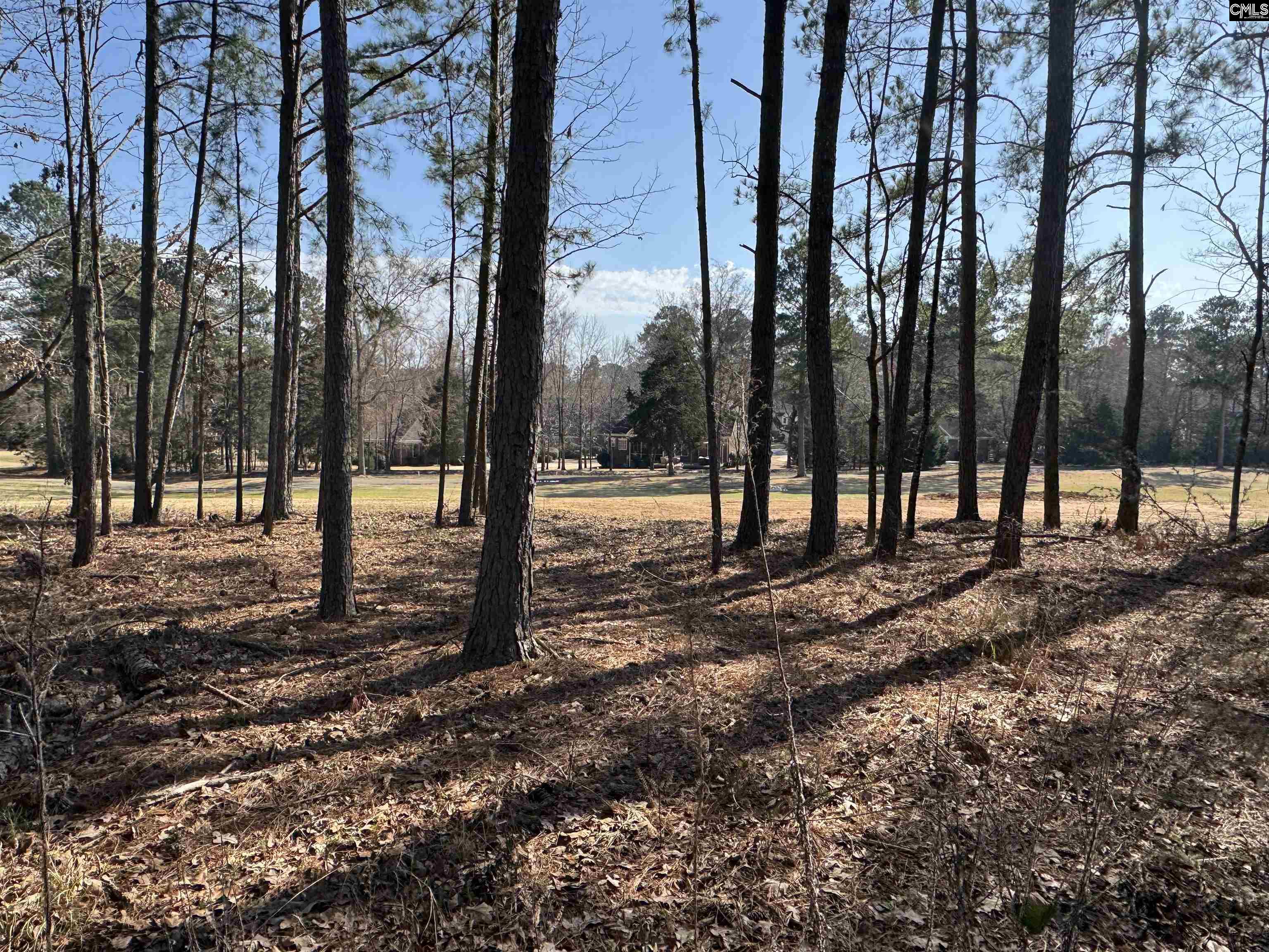 Misty Banks Drive, Chapin, South Carolina image 7