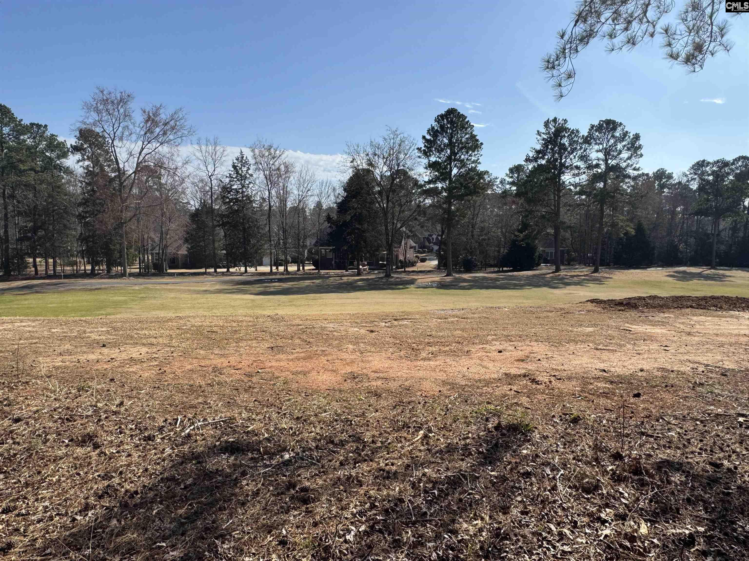 Misty Banks Drive, Chapin, South Carolina image 10