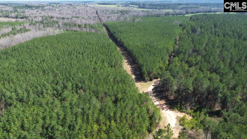Barnes Station Road, Iva, South Carolina image 18