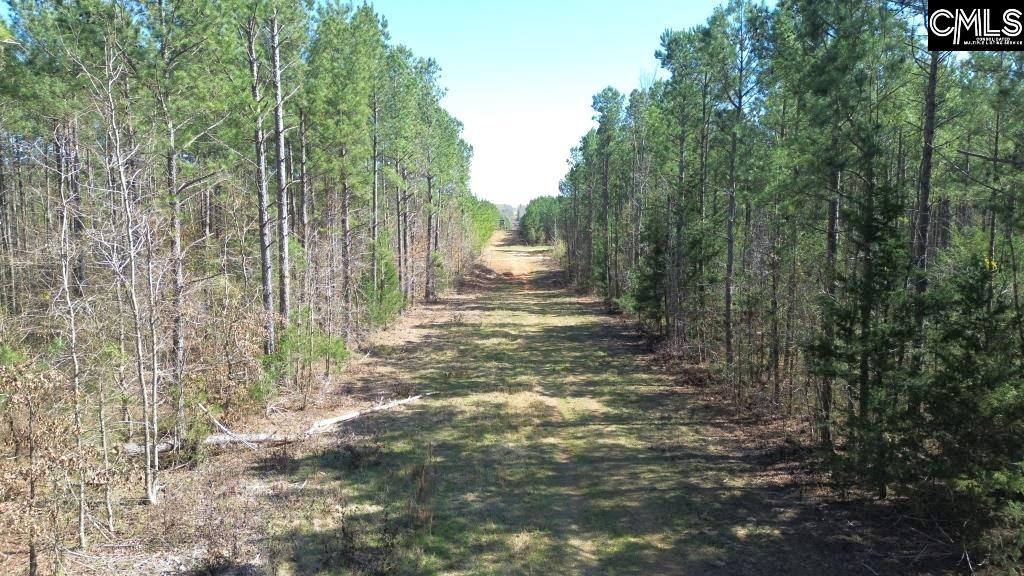 Barnes Station Road, Iva, South Carolina image 20