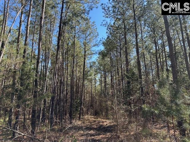 Barnes Station Road, Iva, South Carolina image 21