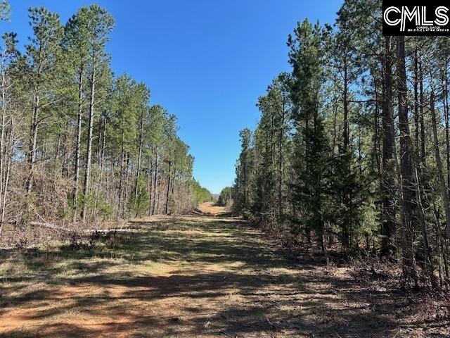 Barnes Station Road, Iva, South Carolina image 22