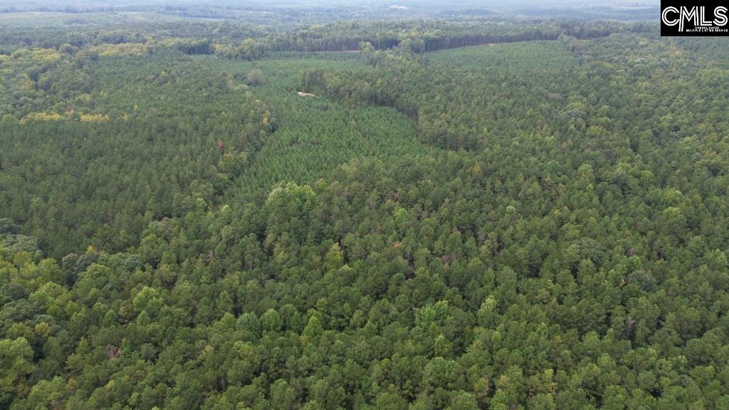 Longtown Road, Ridgeway, South Carolina image 11