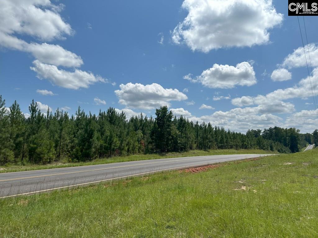 Longtown Road, Ridgeway, South Carolina image 13