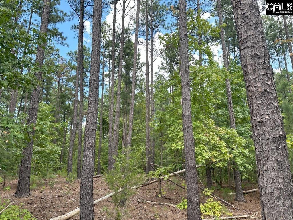 Longtown Road, Ridgeway, South Carolina image 14