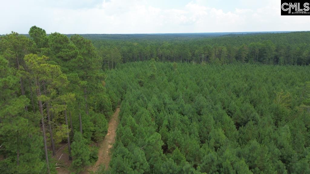 Longtown Road, Ridgeway, South Carolina image 10