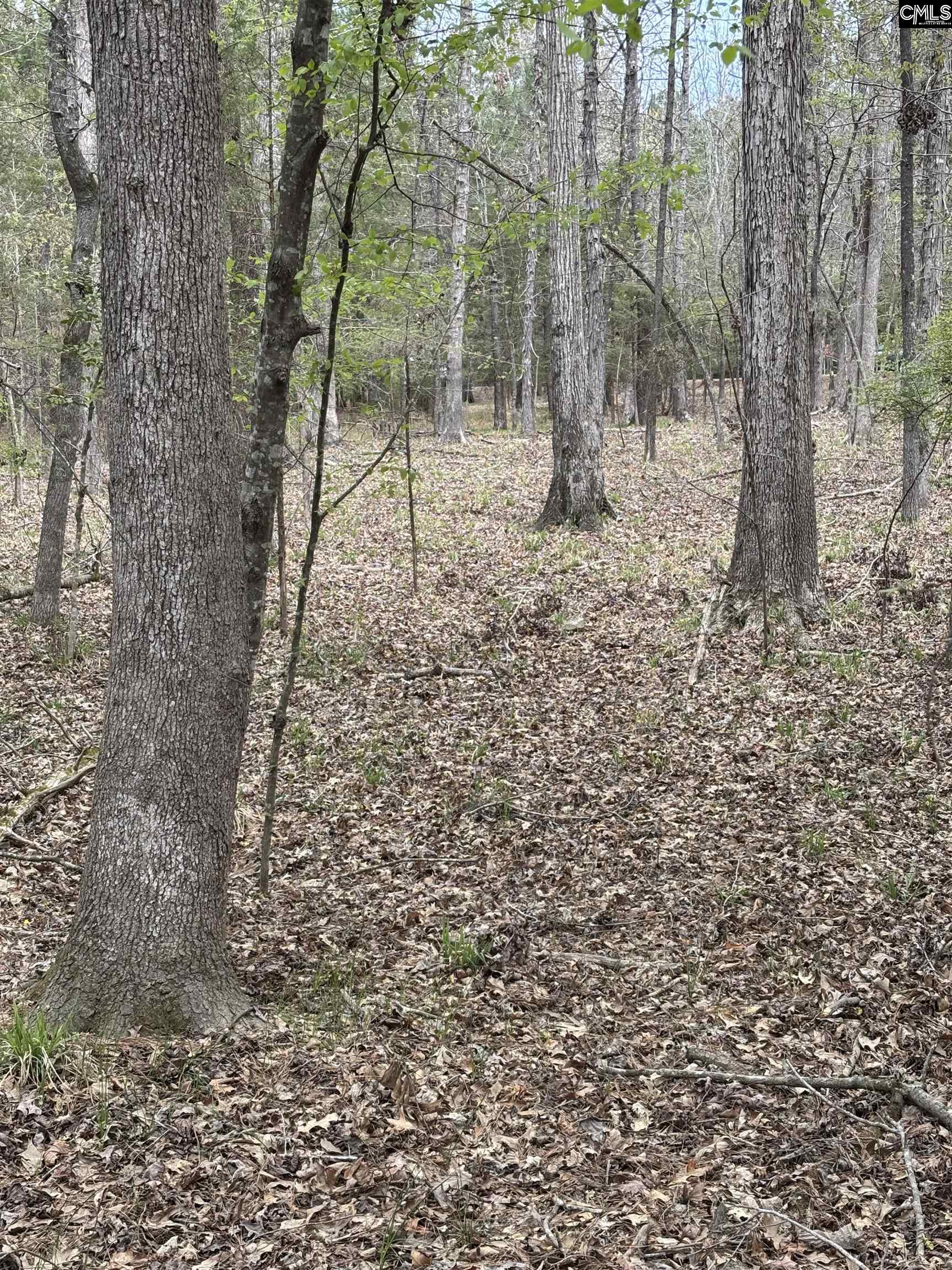 231 Tortoise Trail, Batesburg, South Carolina image 10