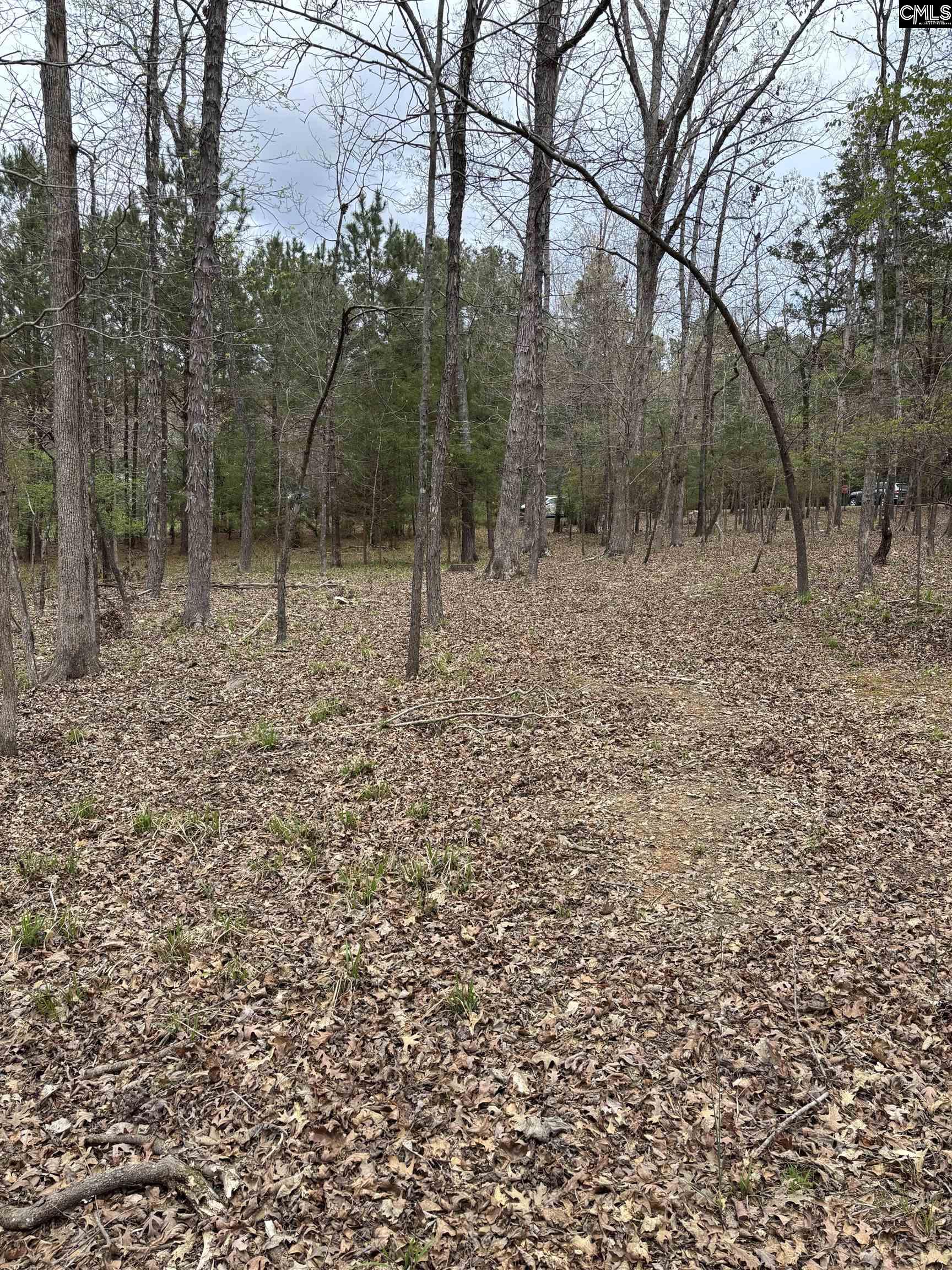 231 Tortoise Trail, Batesburg, South Carolina image 11